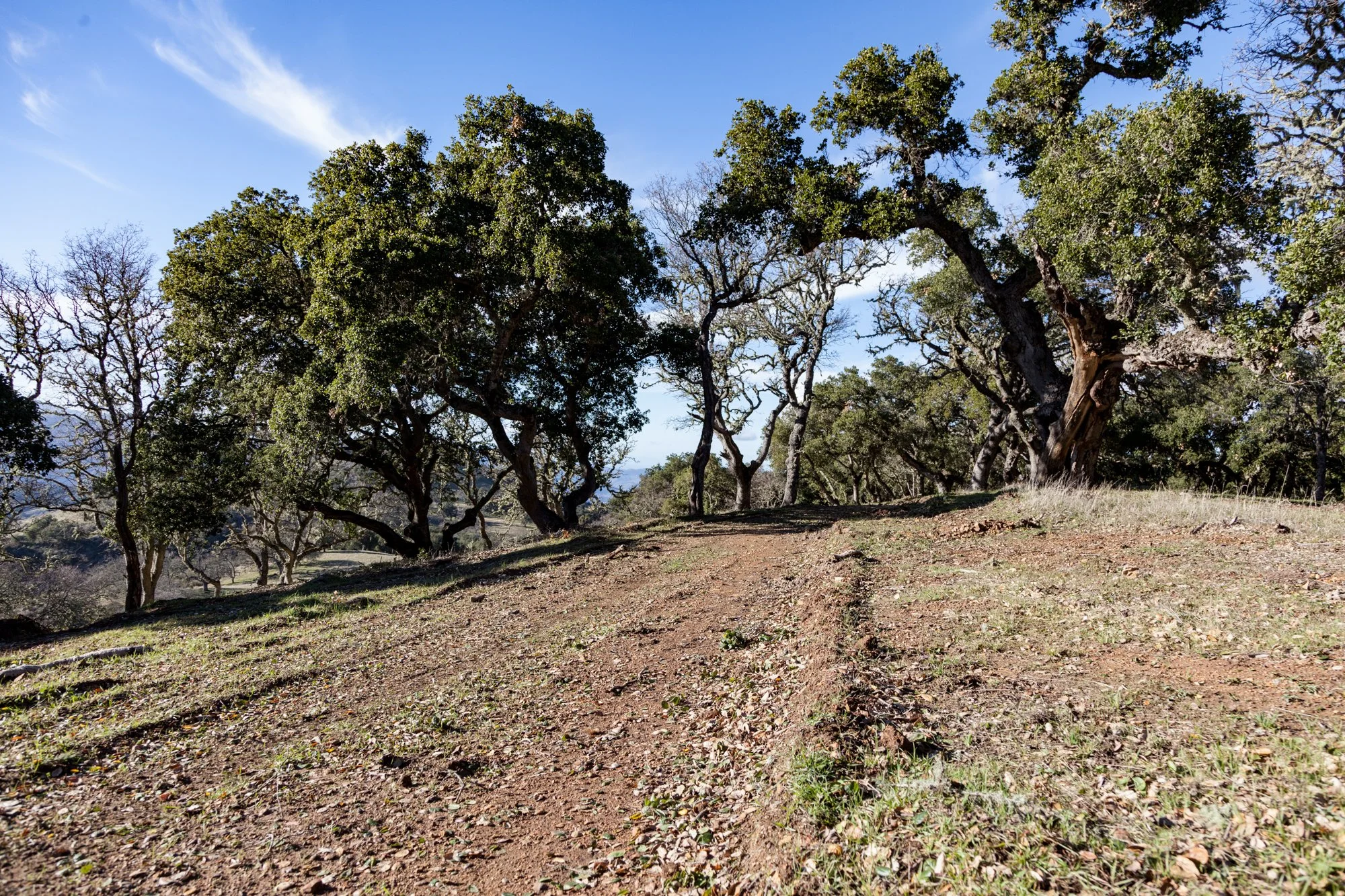 Rnch- Galante Ranch & Vineyards - Carmel Valley - 23.jpg
