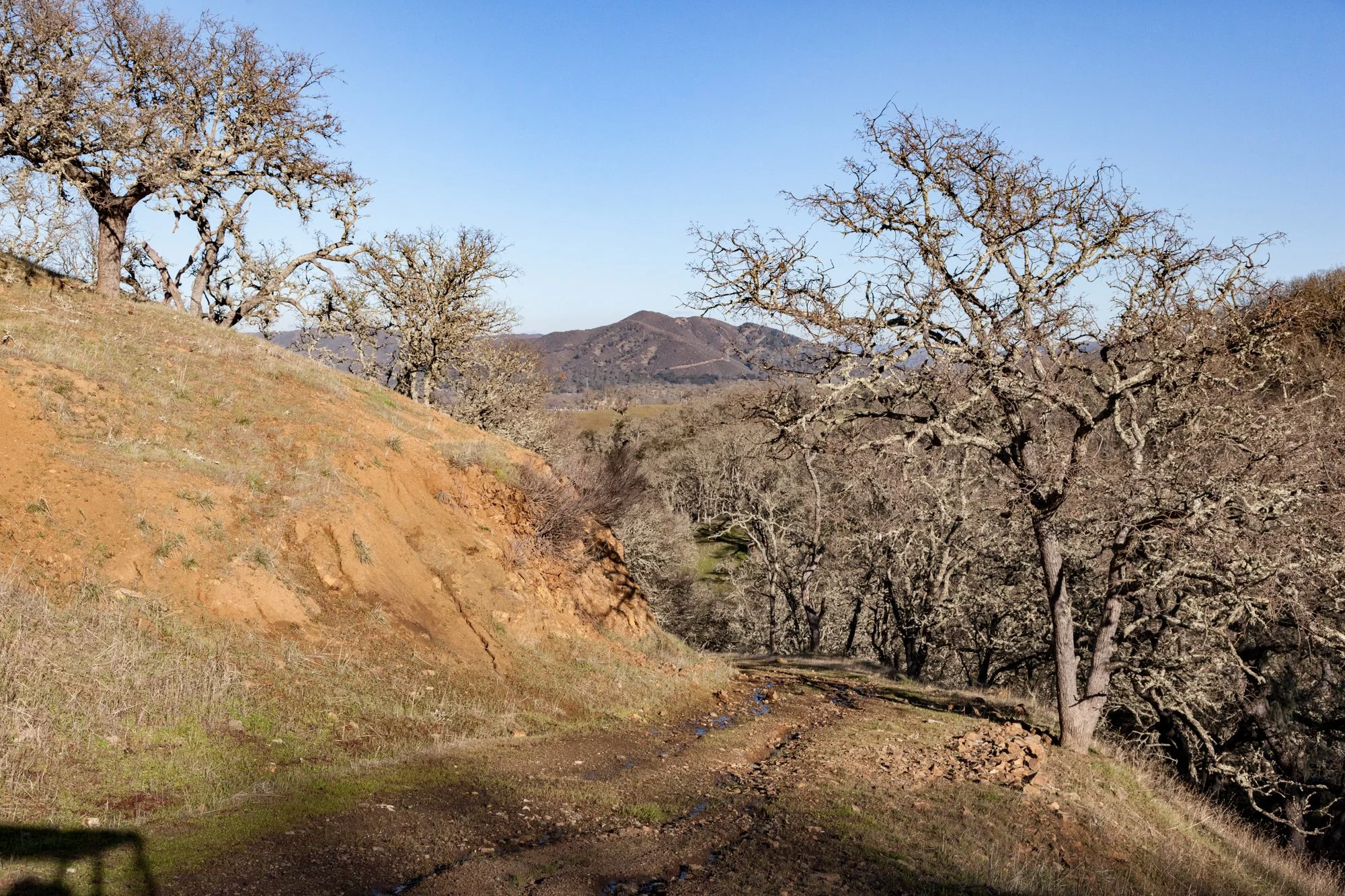 Rnch- Santa Margarita Ranch - 98.jpg