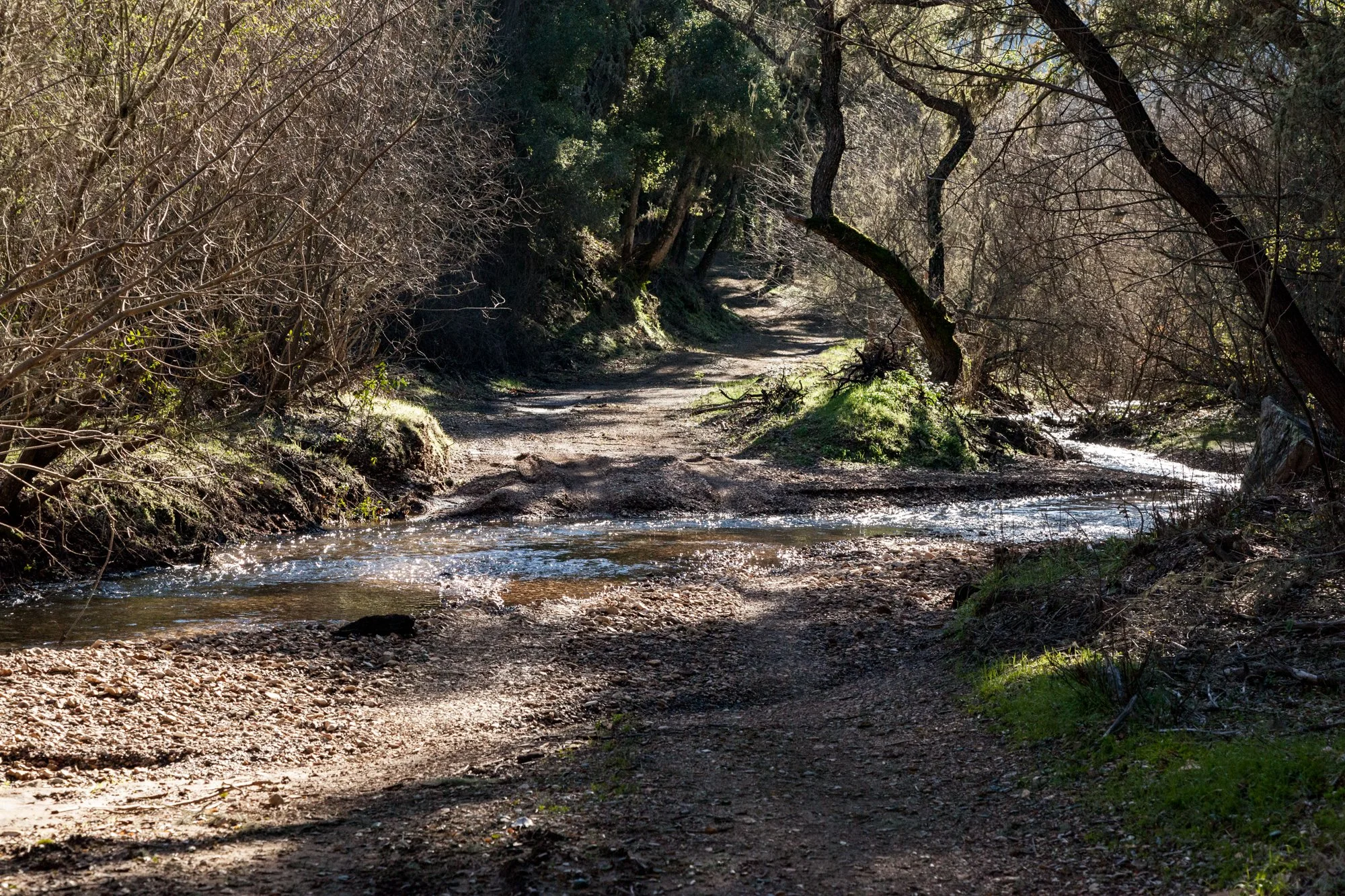Rnch- Santa Margarita Ranch - 58.jpg