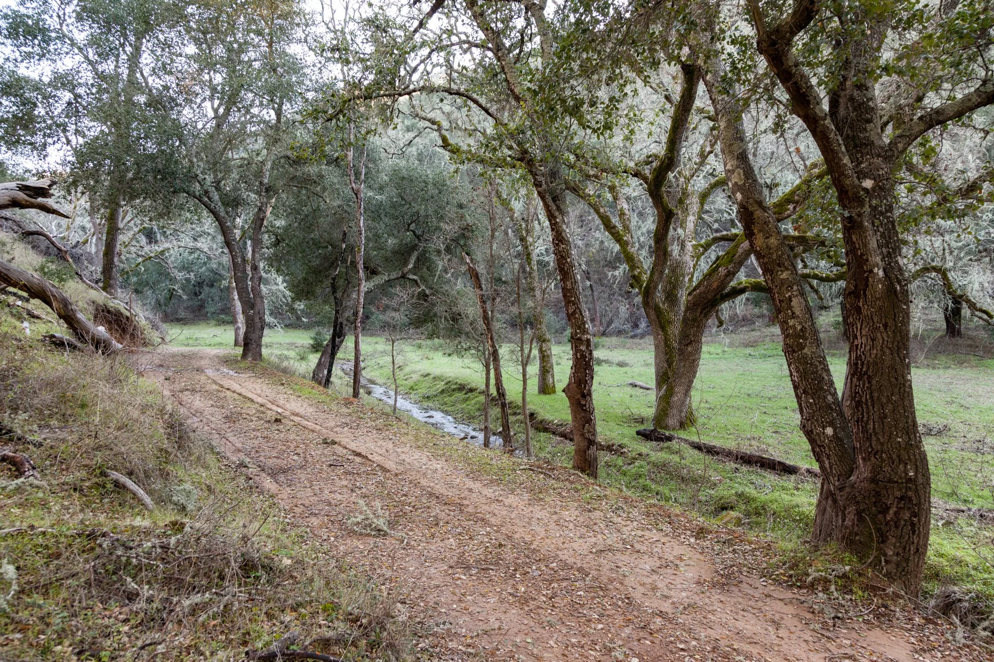 Rnch- Santa Margarita Ranch - 75.jpg