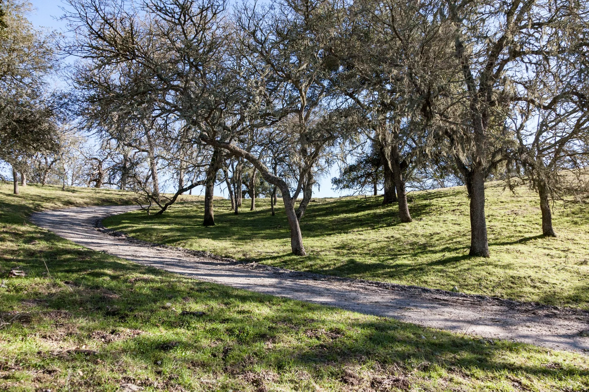 Rnch- Santa Margarita Ranch - 47.jpg