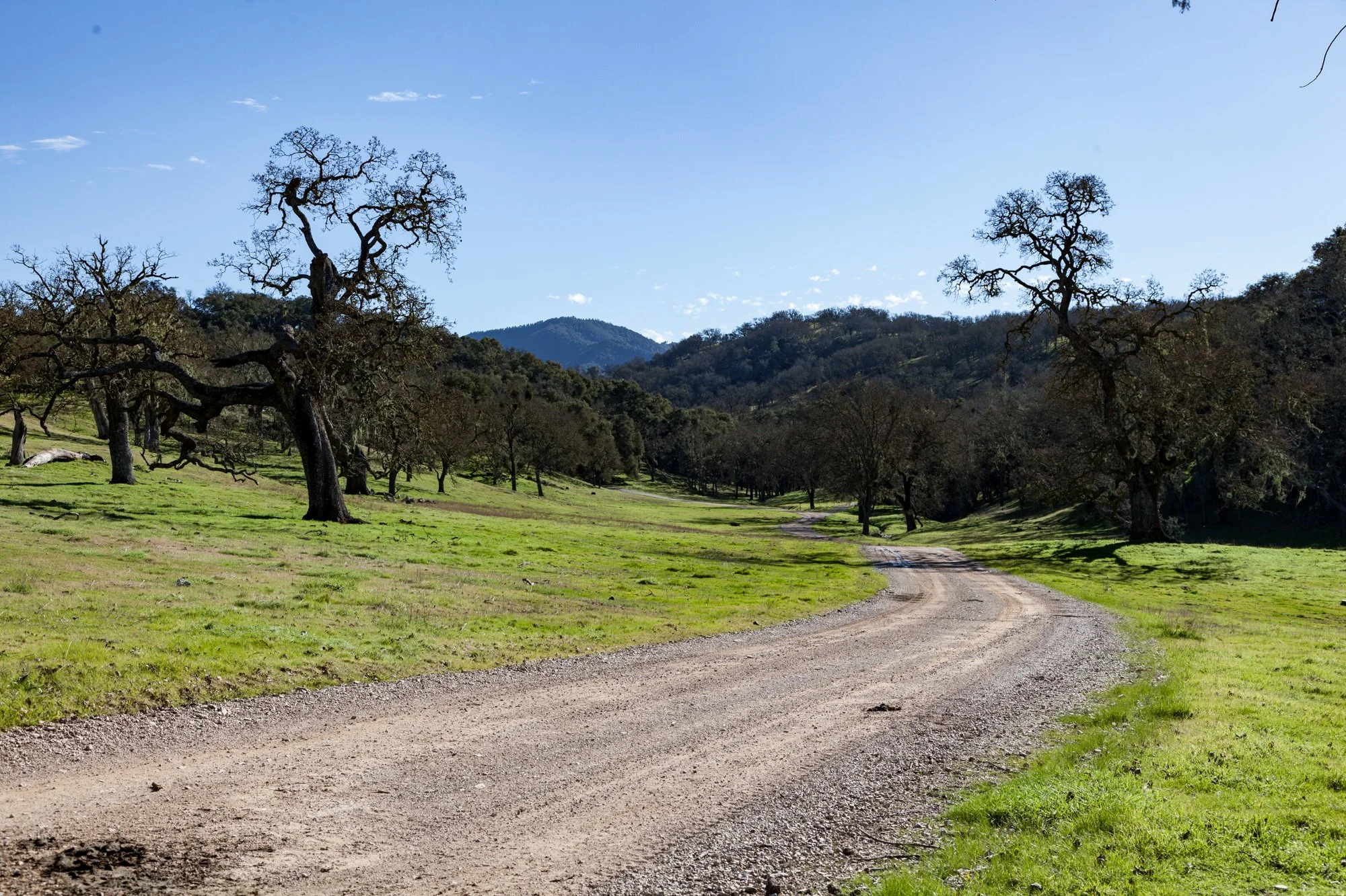 Rnch- Santa Margarita Ranch - 19.jpg