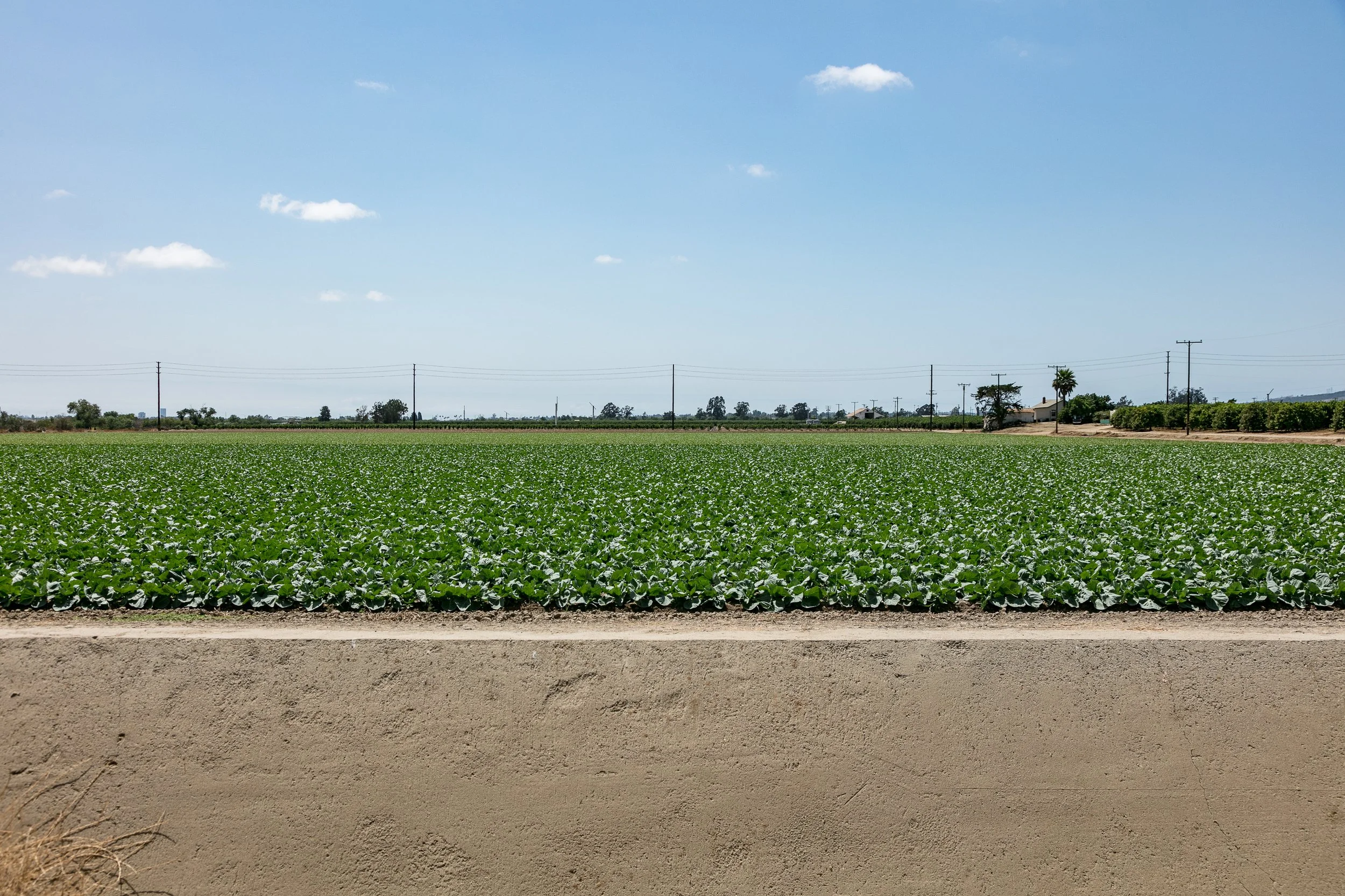 Limoneira Farms - Santa Paula -91.jpg
