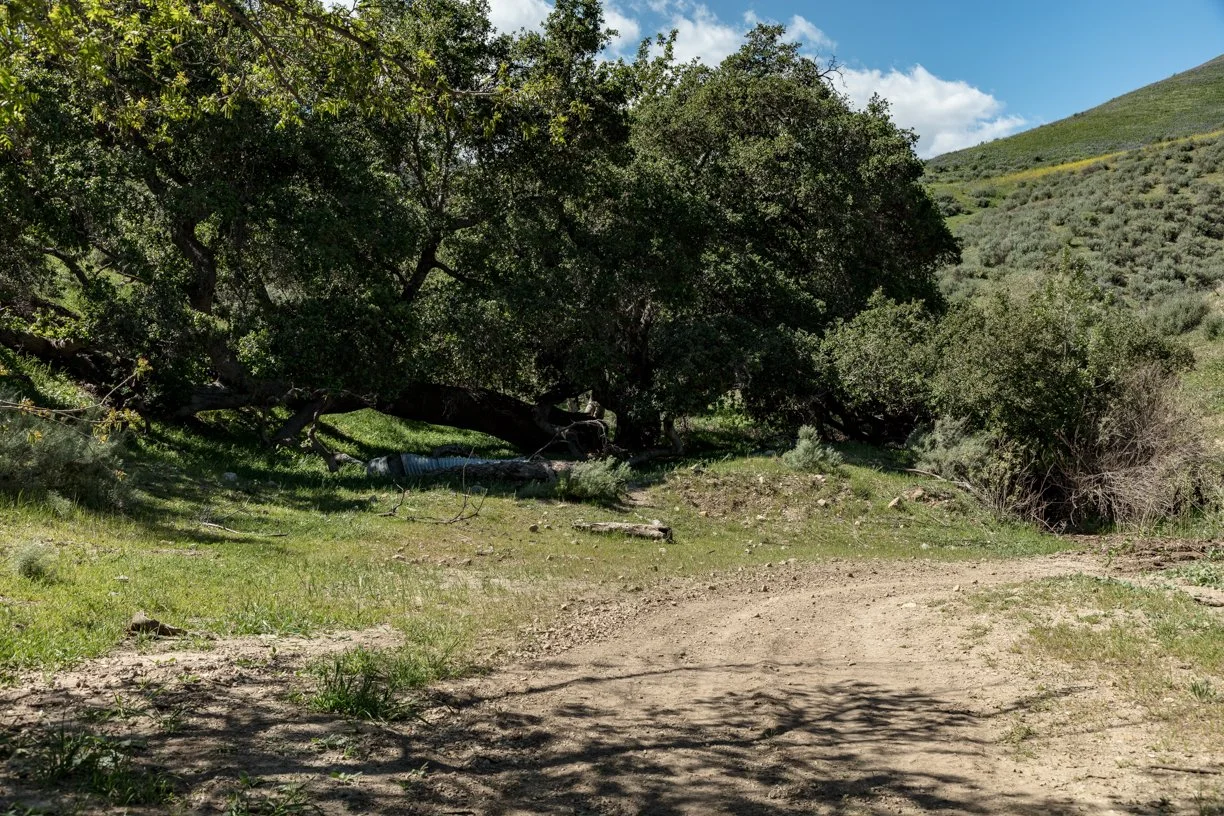 Rancho Temescal - Lower Oil Field Rd - Mtn Bike - Piru -19.jpg