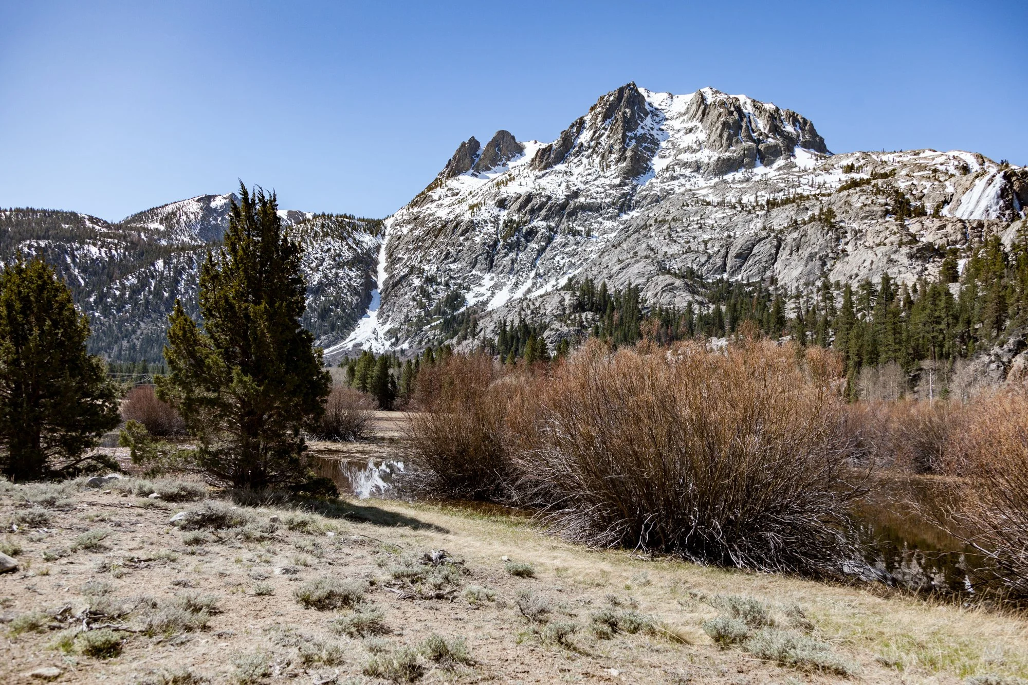 Ntr- Blacks Pond & Meadow - June Lake -9.jpg