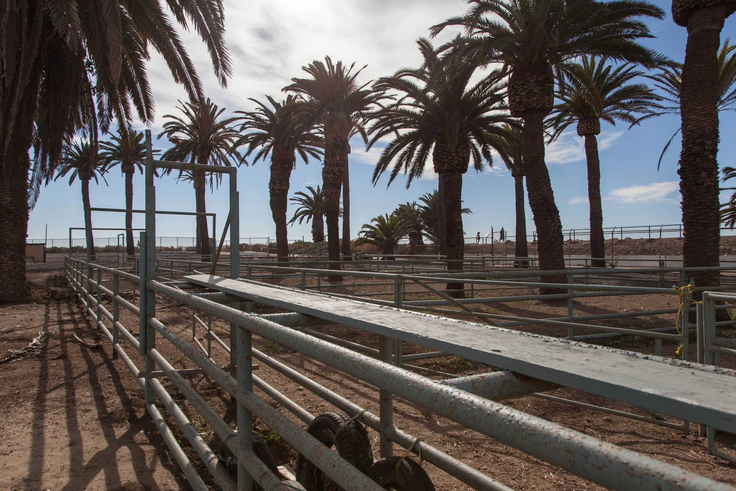 Rdo- Ventura Fairgrounds - Rodeo Arena -12.jpg