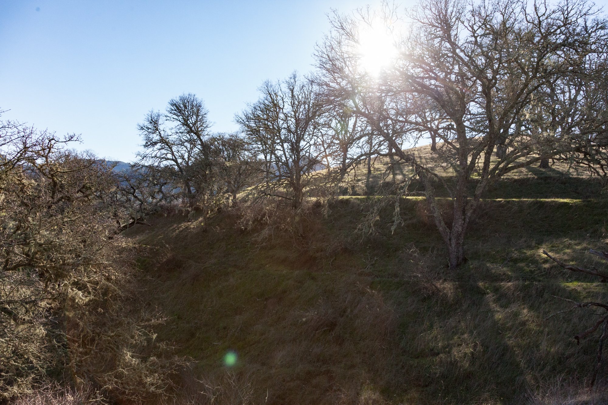 Rnch- Santa Margarita Ranch - 42.jpg