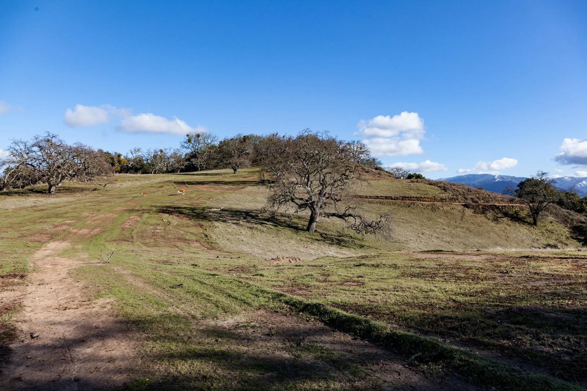 Rnch- Galante Ranch & Vineyards - Carmel Valley - 12.jpg