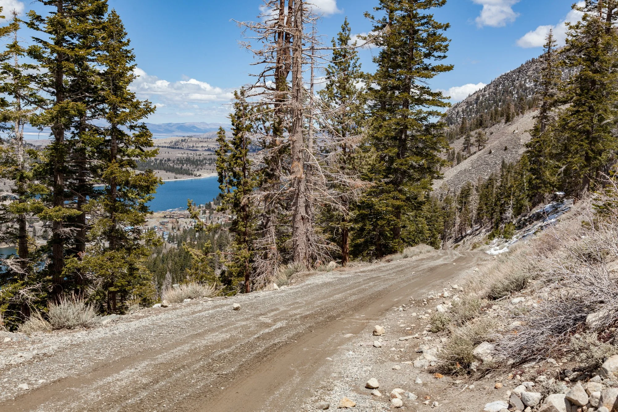 Ntr- June Mtn - Maint Rd -17.jpg