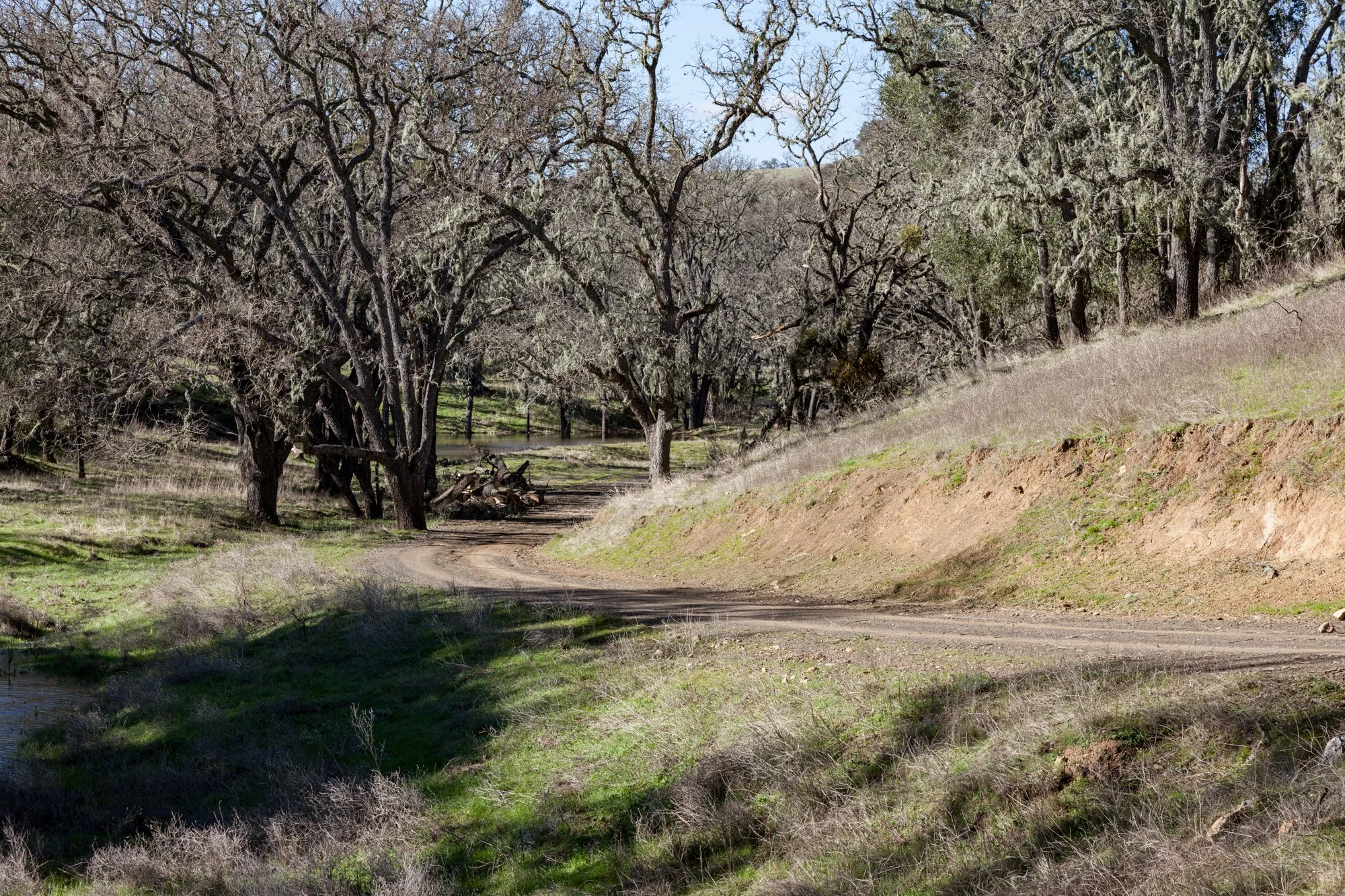 Rnch- Santa Margarita Ranch - 15.jpg