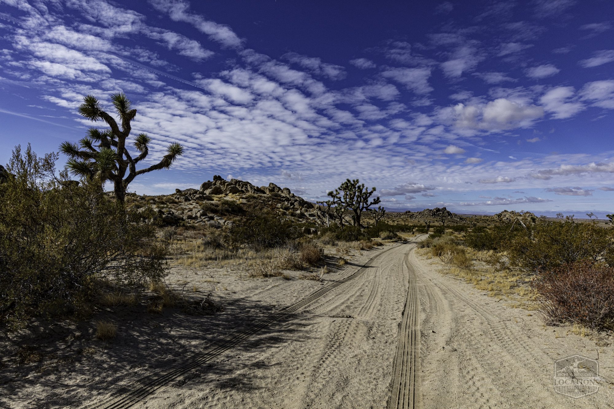 Rocky Buttes - Lancaster - 112424 -012.jpg