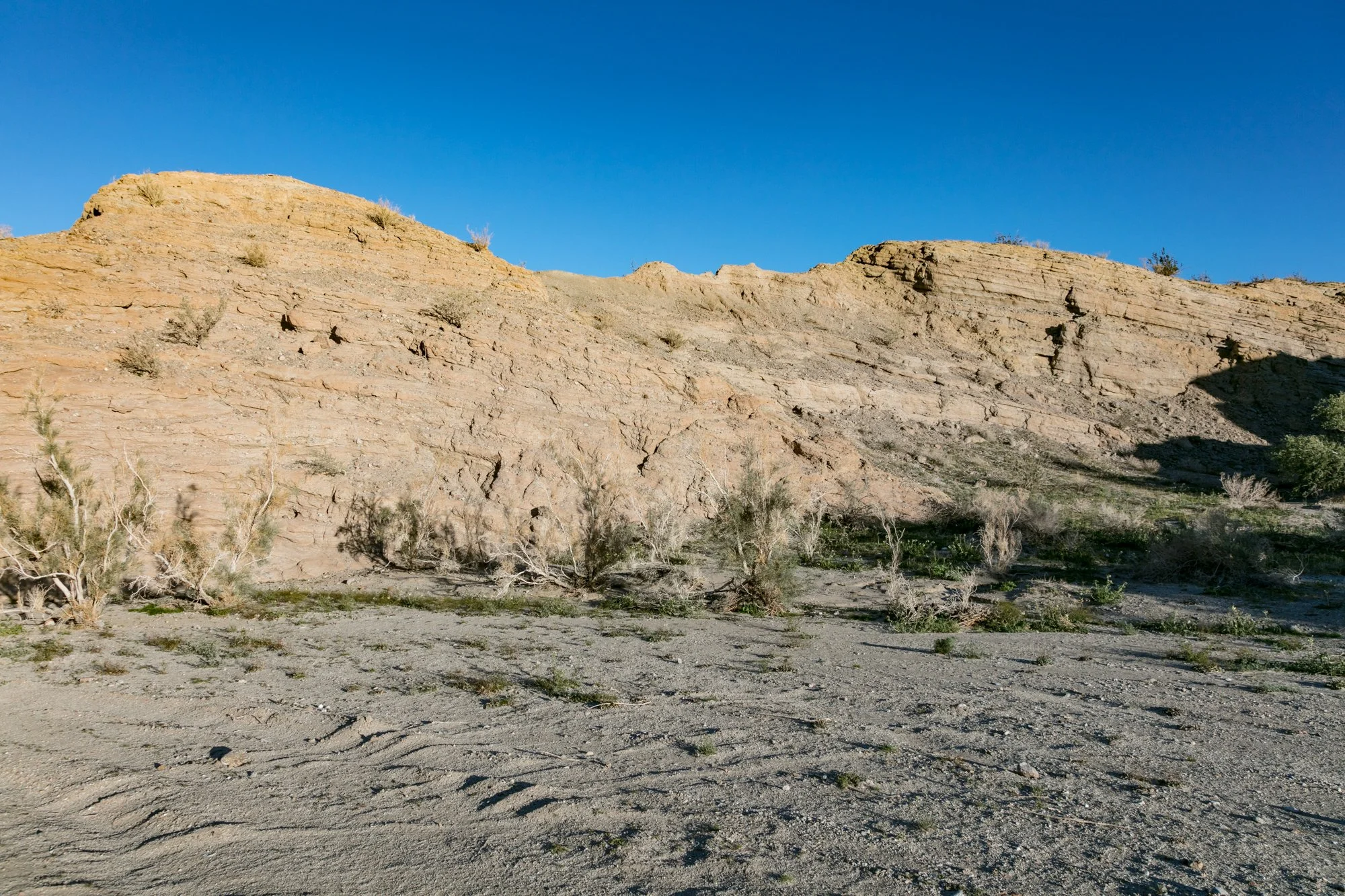 Ntr- Anza Borrego - Badlands - 0219 -64.jpg