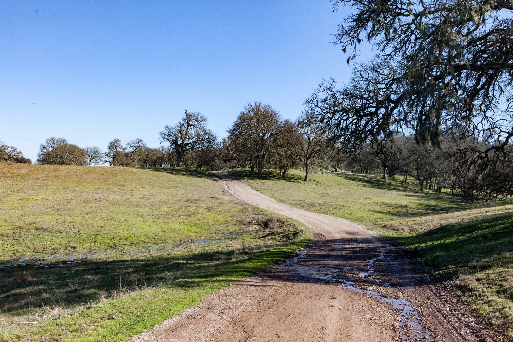 Rnch- Santa Margarita Ranch - 44.jpg