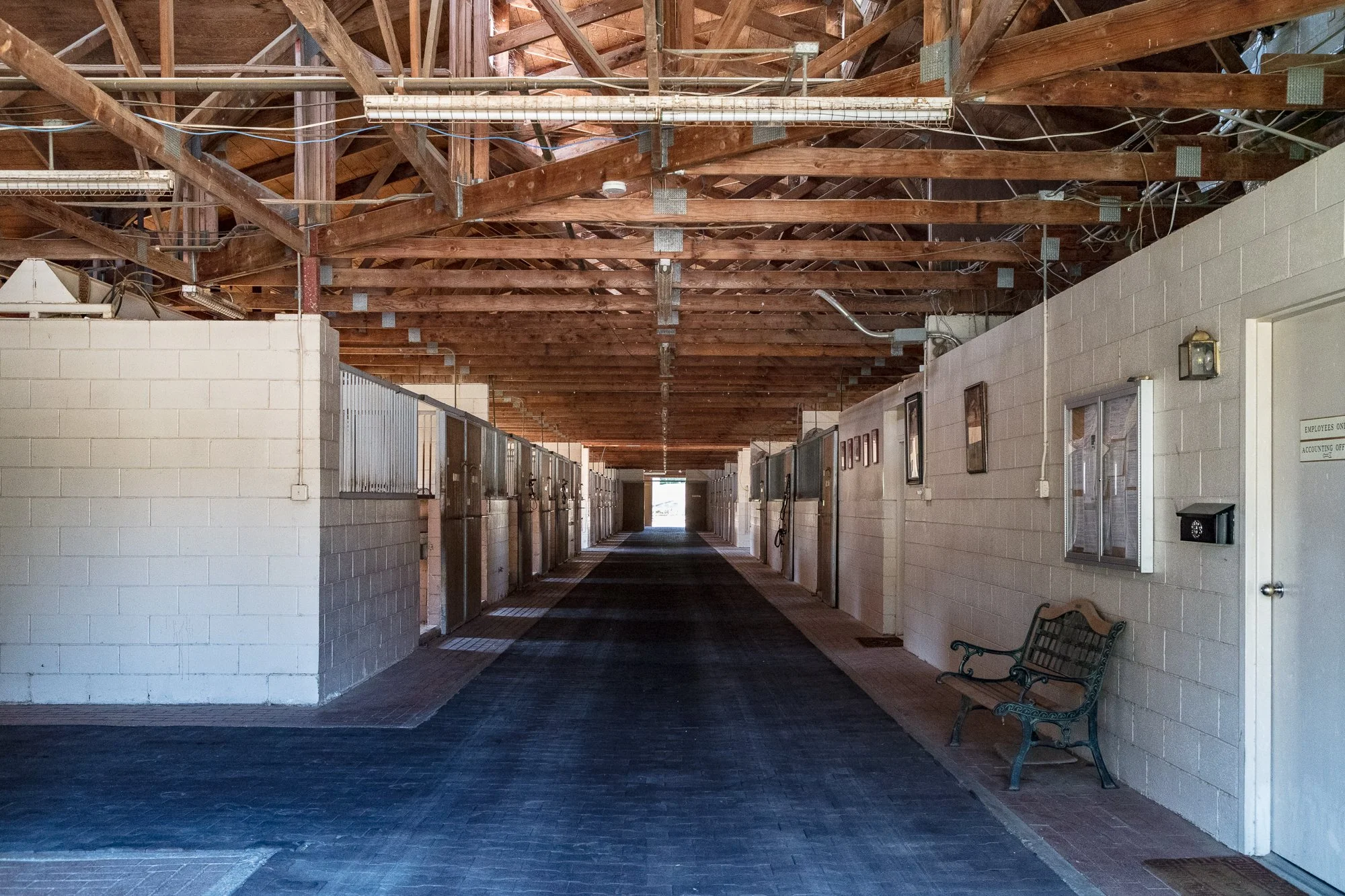 Ventura Farms - Arabian Center -1.jpg