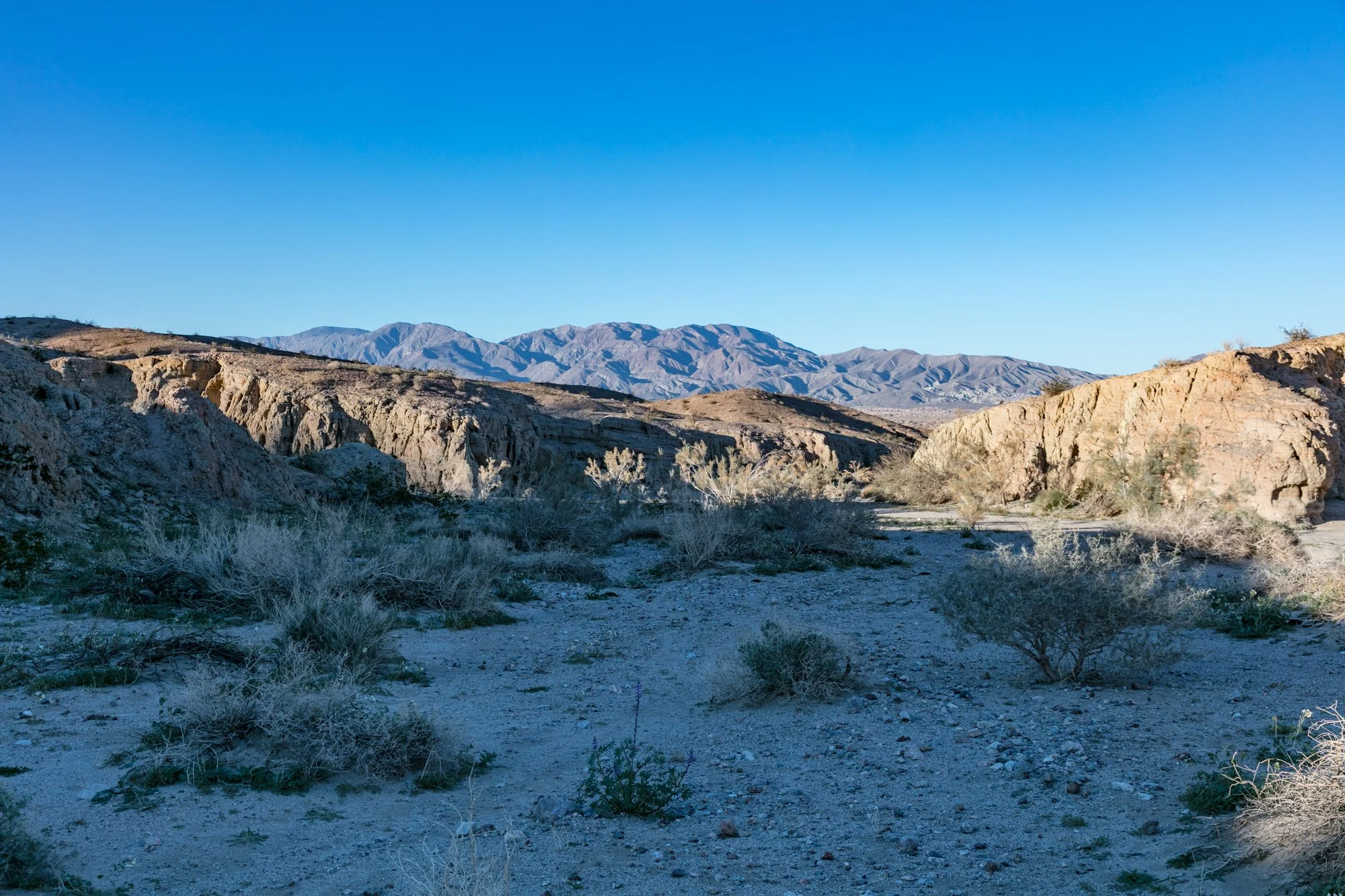 Ntr- Anza Borrego - Badlands - 0219 -66.jpg