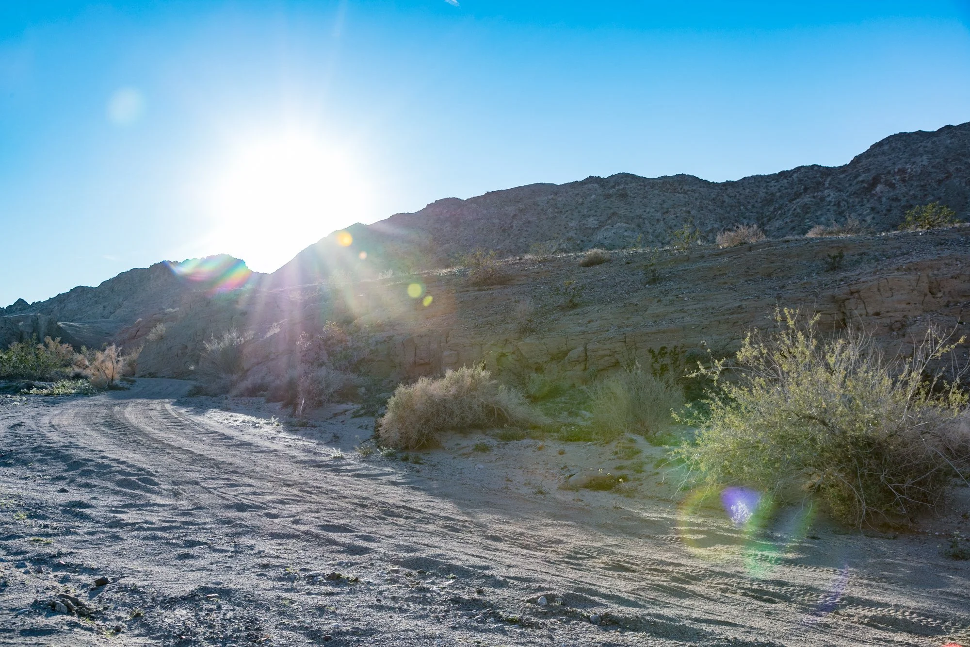 Ntr- Anza Borrego - Badlands - 0219 -63.jpg