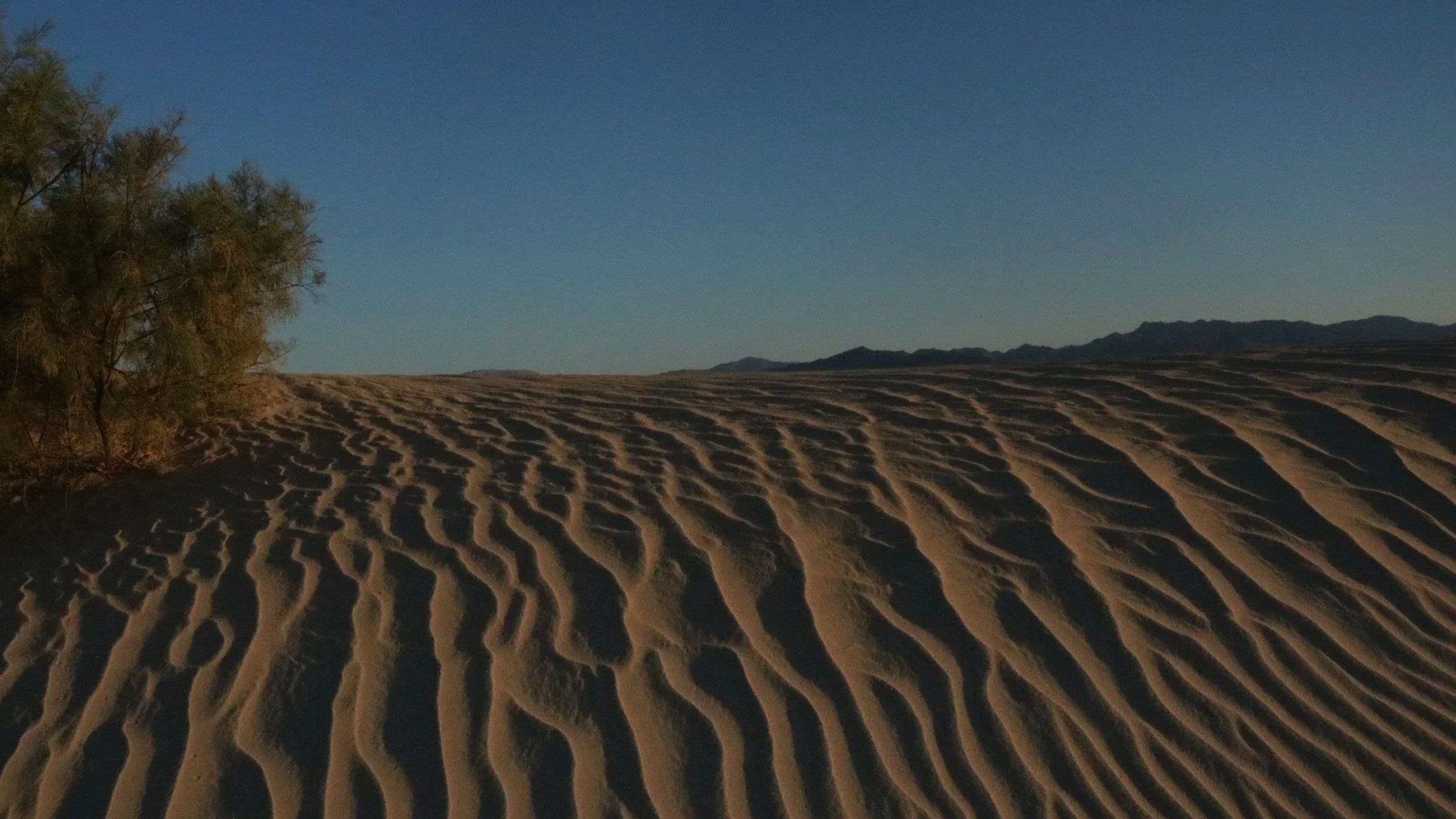 Newberry Dunes - Newberry Springs