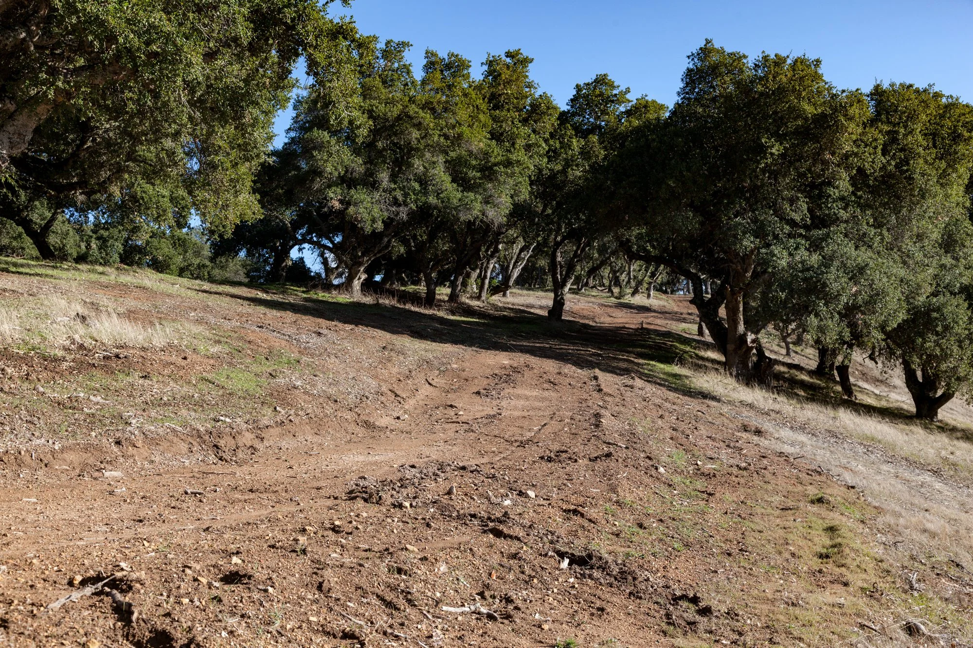 Rnch- Galante Ranch & Vineyards - Carmel Valley - 21.jpg