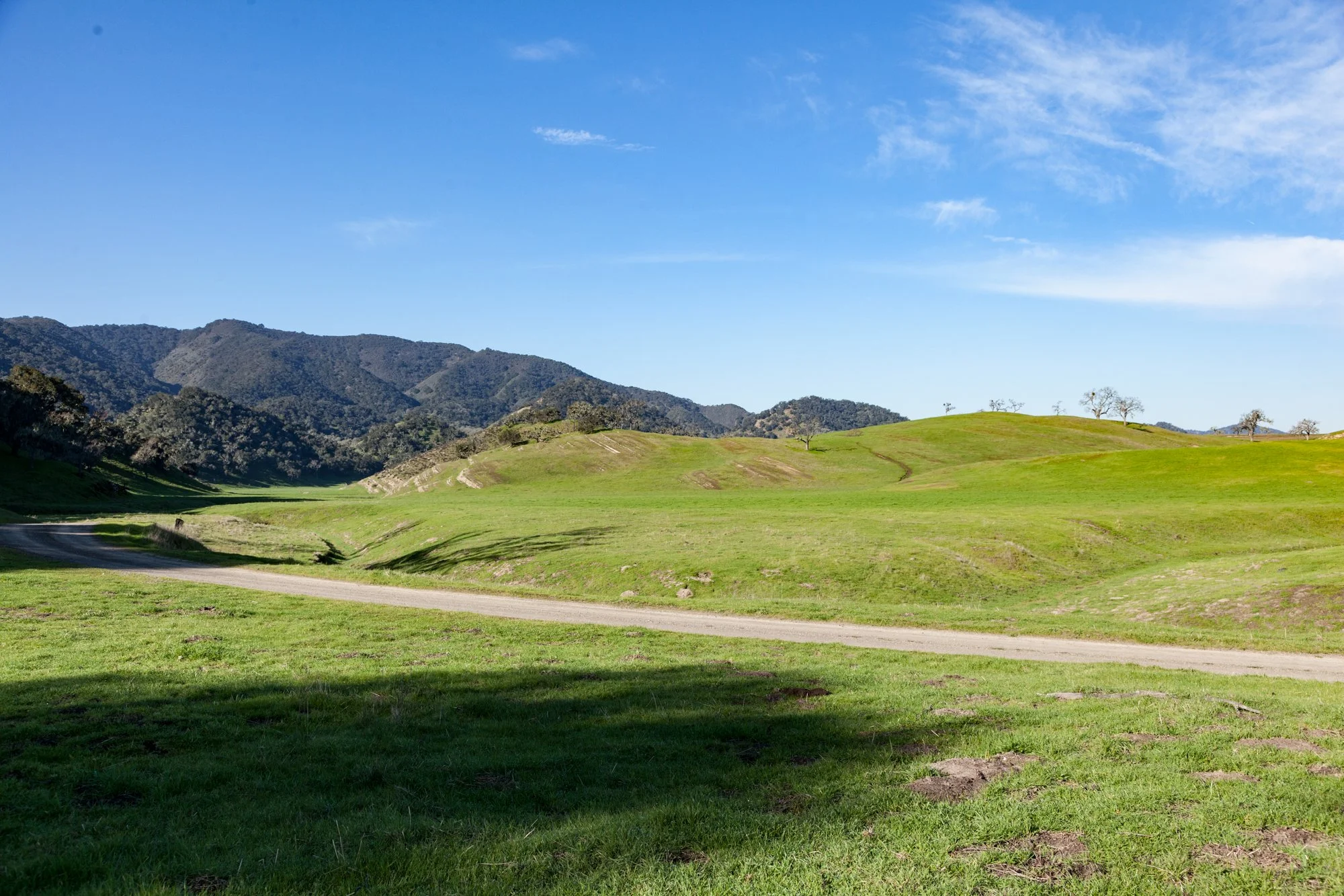 Rnch- Porter Ranch - Santa Maria - 3.jpg