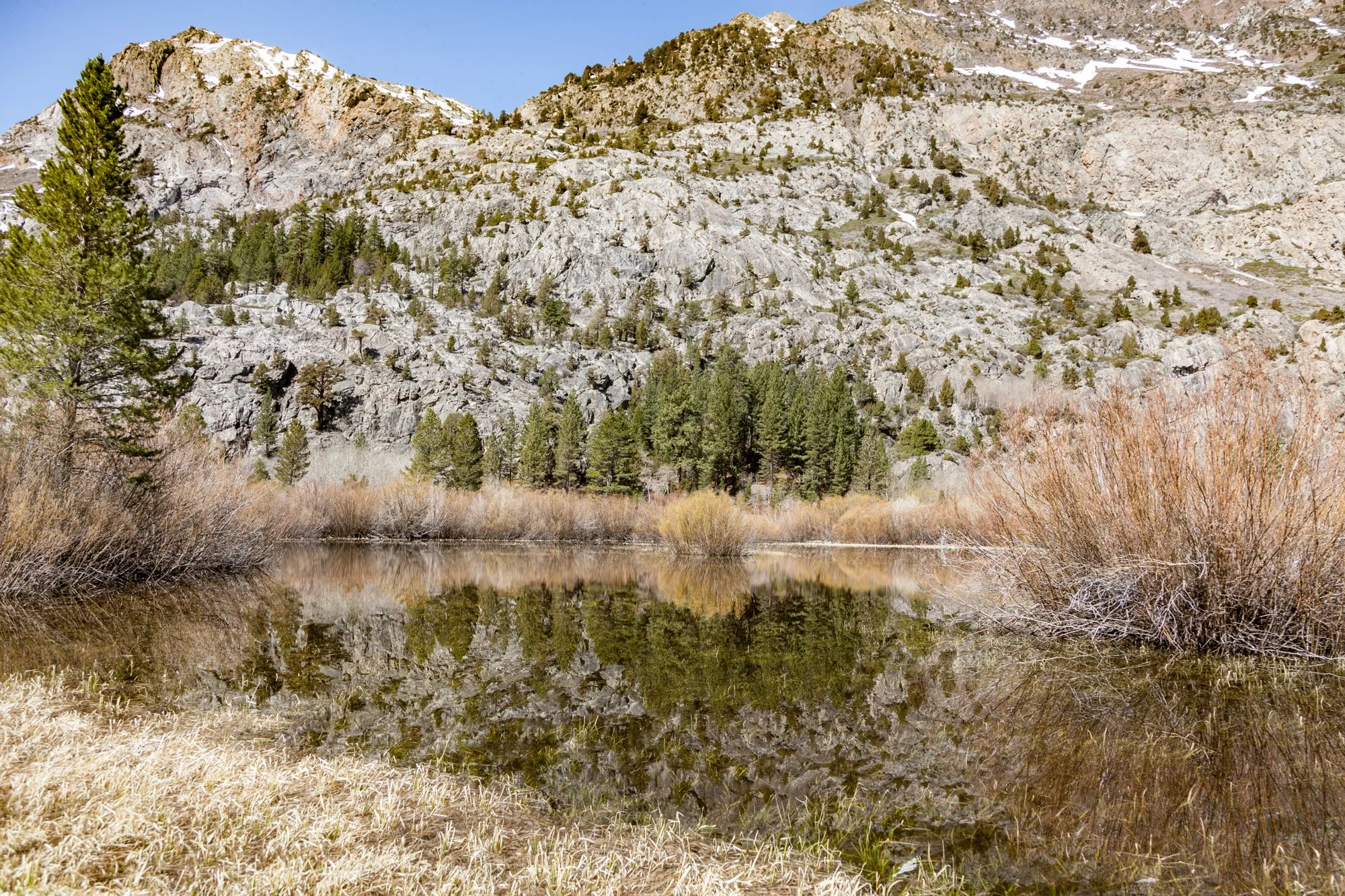 Ntr- Blacks Pond & Meadow - June Lake -12.jpg