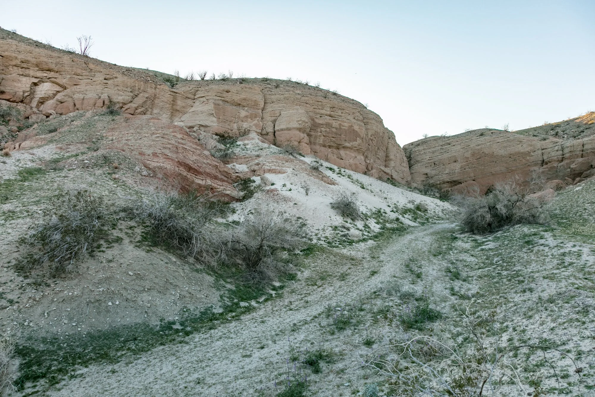 Ntr- Anza Borrego - Badlands - 0219 -93.jpg