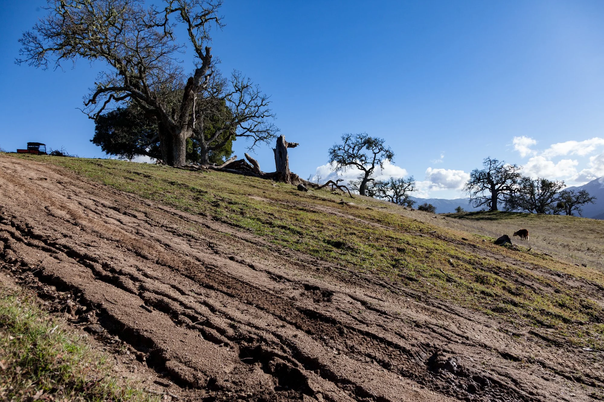 Rnch- Galante Ranch & Vineyards - Carmel Valley - 5.jpg