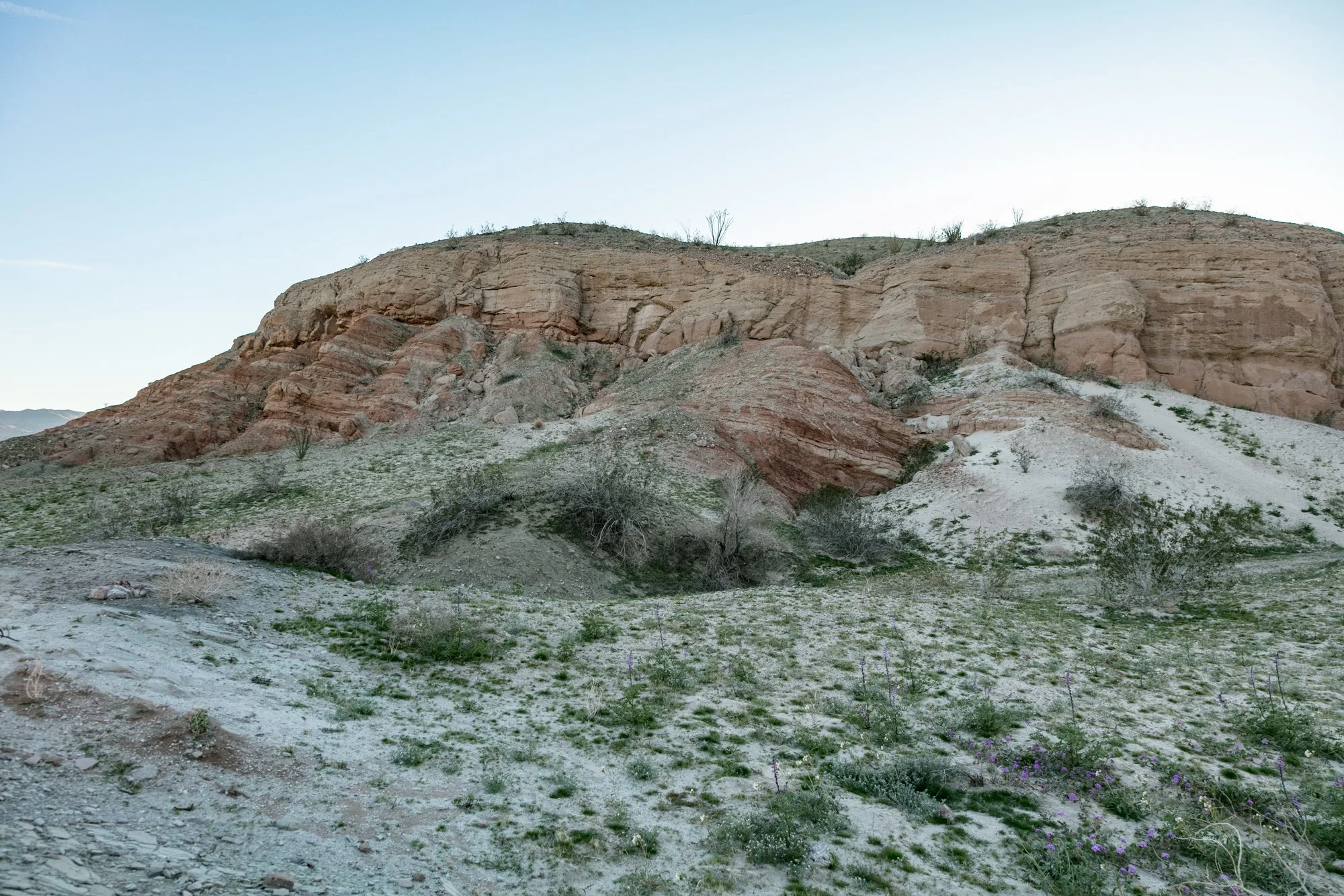 Ntr- Anza Borrego - Badlands - 0219 -89.jpg