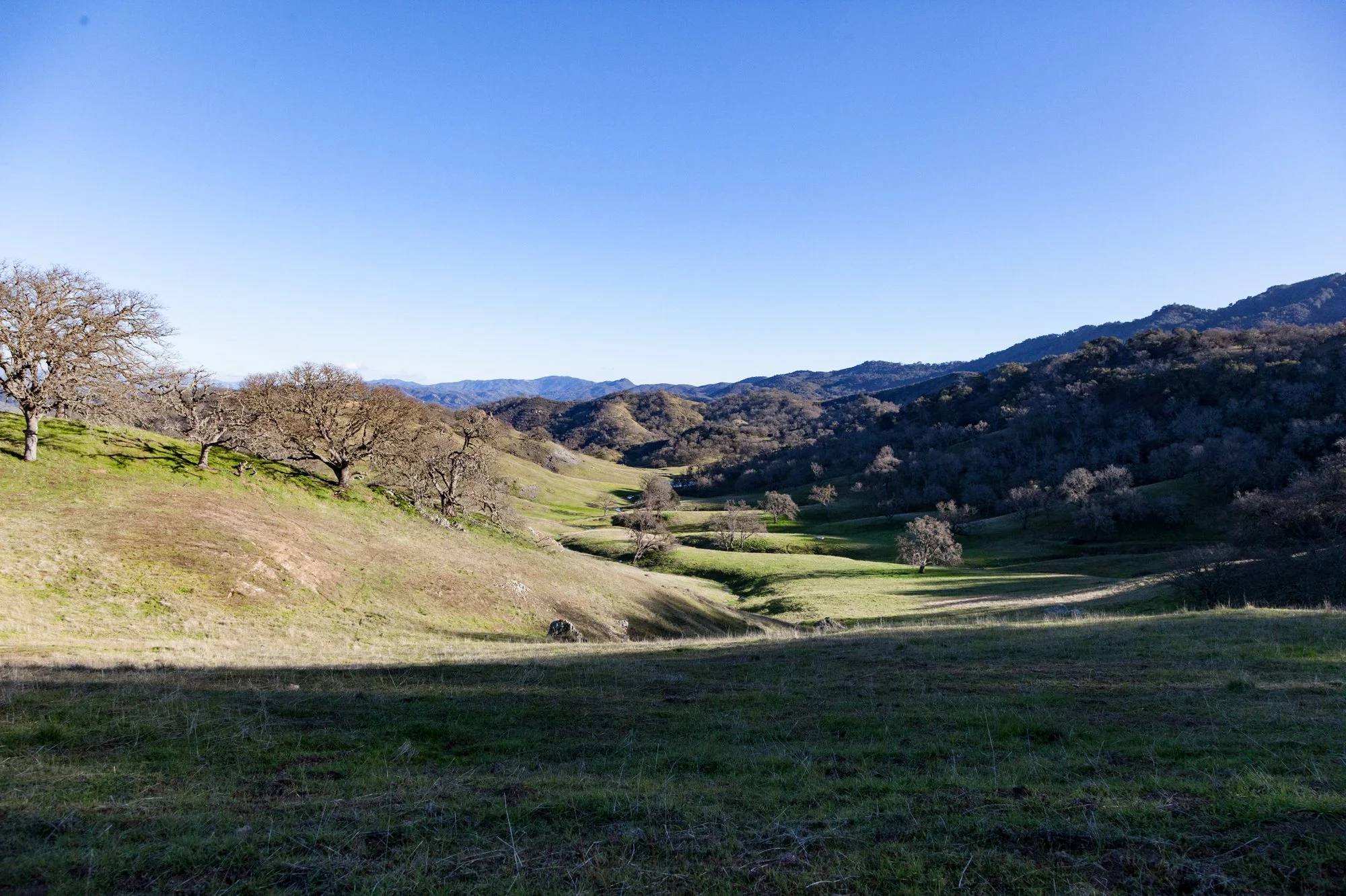 Rnch- Santa Margarita Ranch - 86.jpg