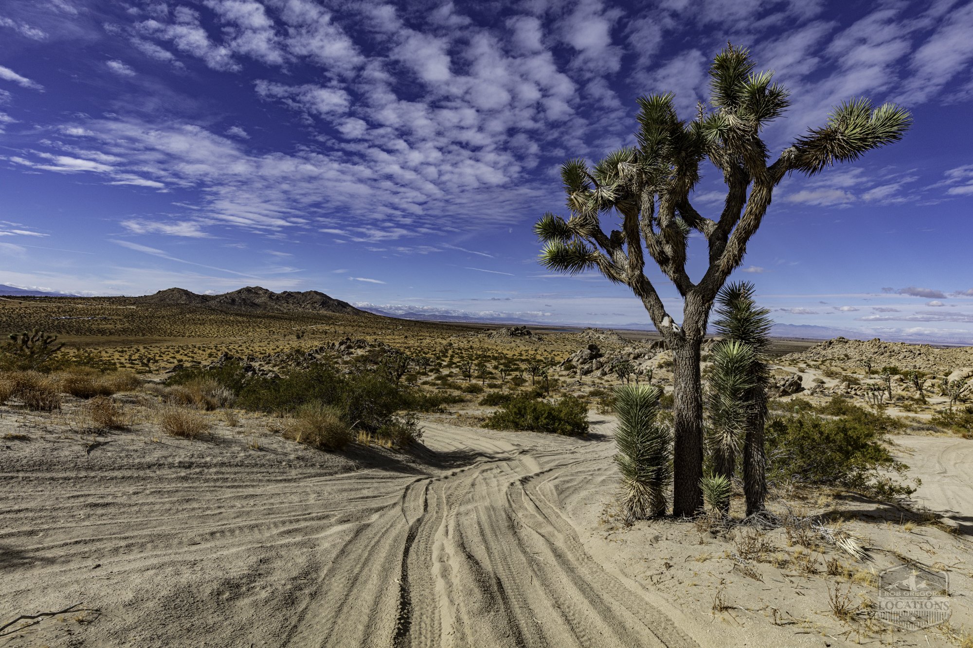 Rocky Buttes - Lancaster - 112424 -032.jpg