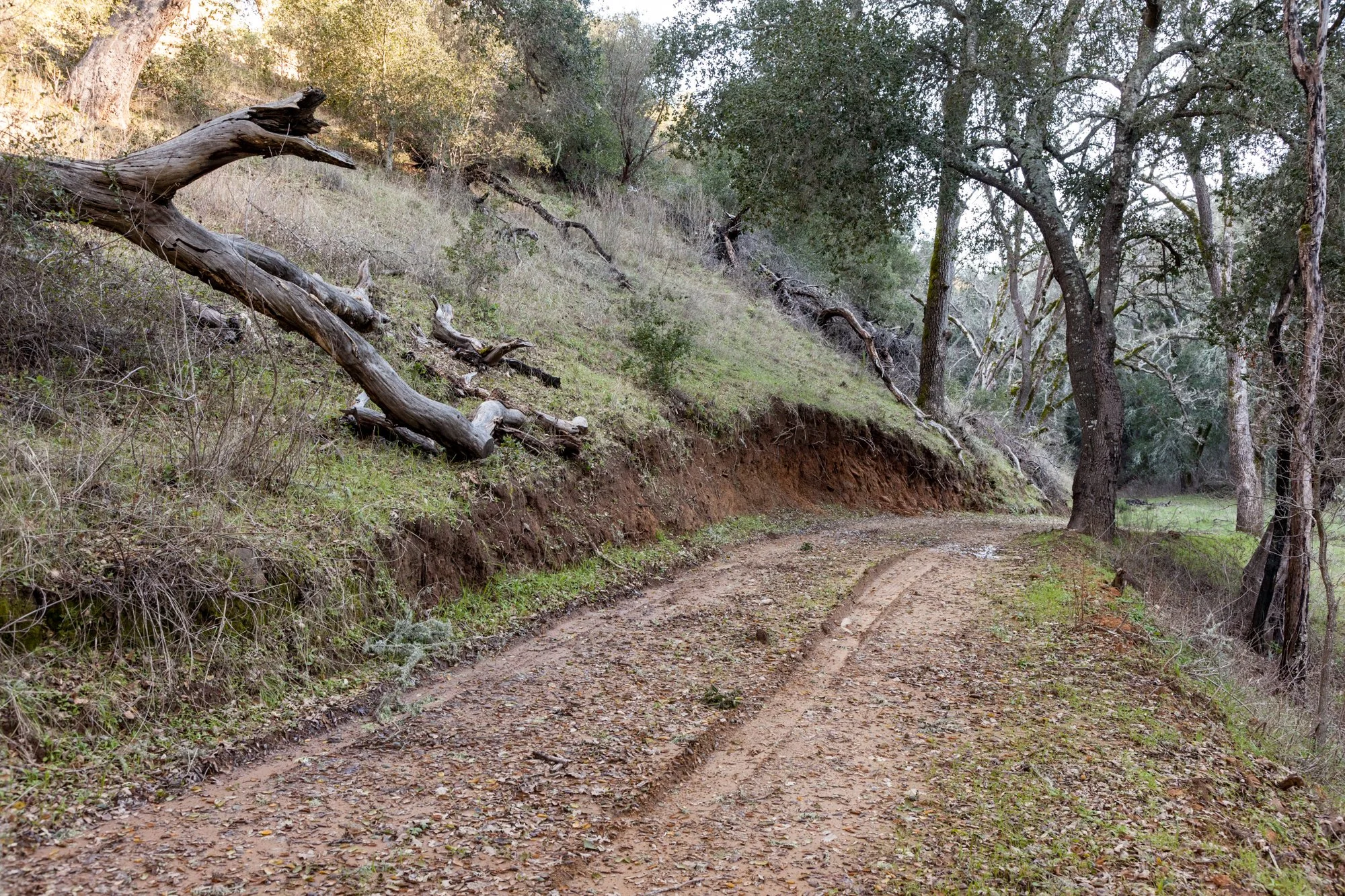 Rnch- Santa Margarita Ranch - 76.jpg