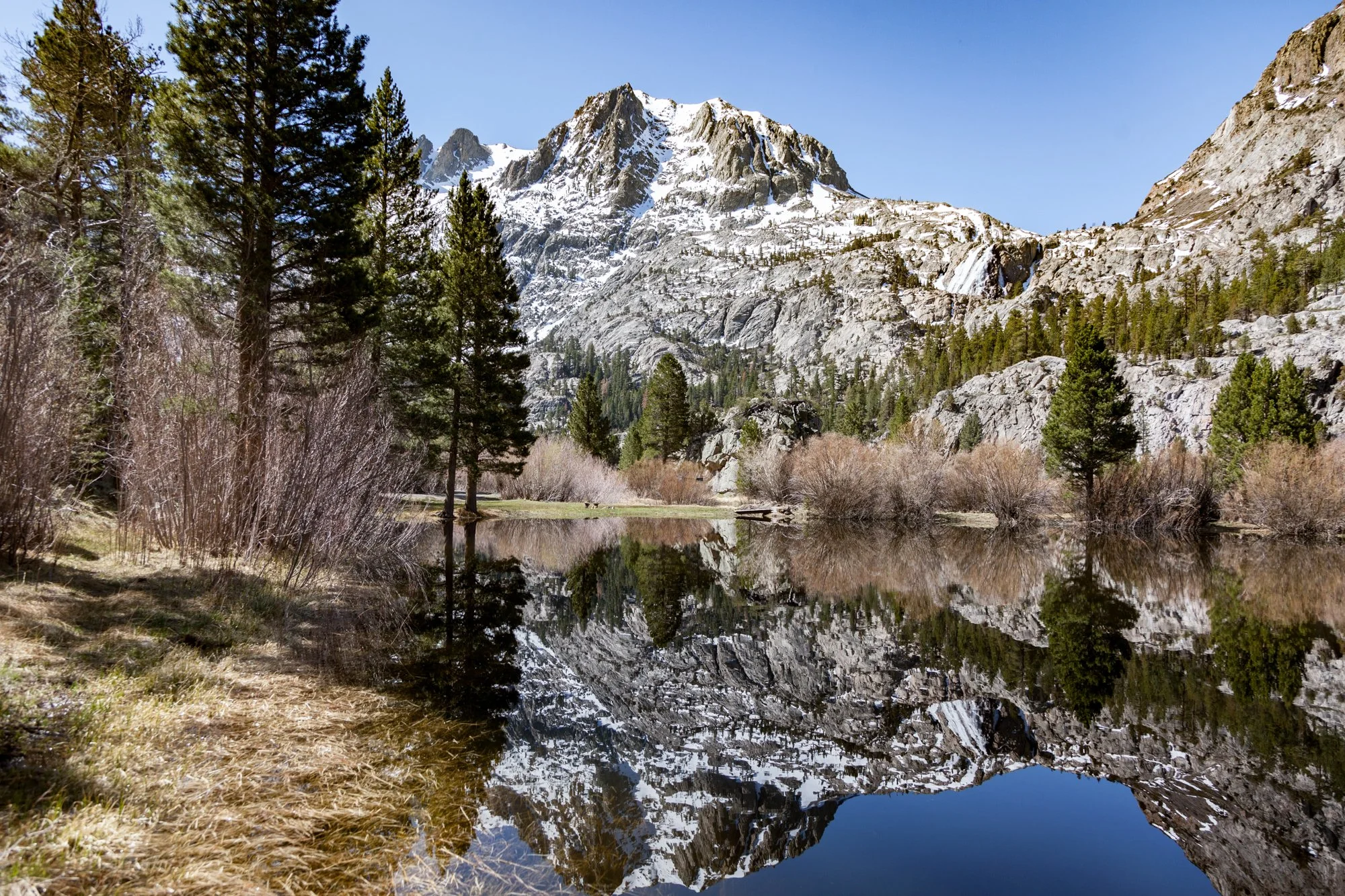 Ntr- Blacks Pond & Meadow - June Lake -7.jpg