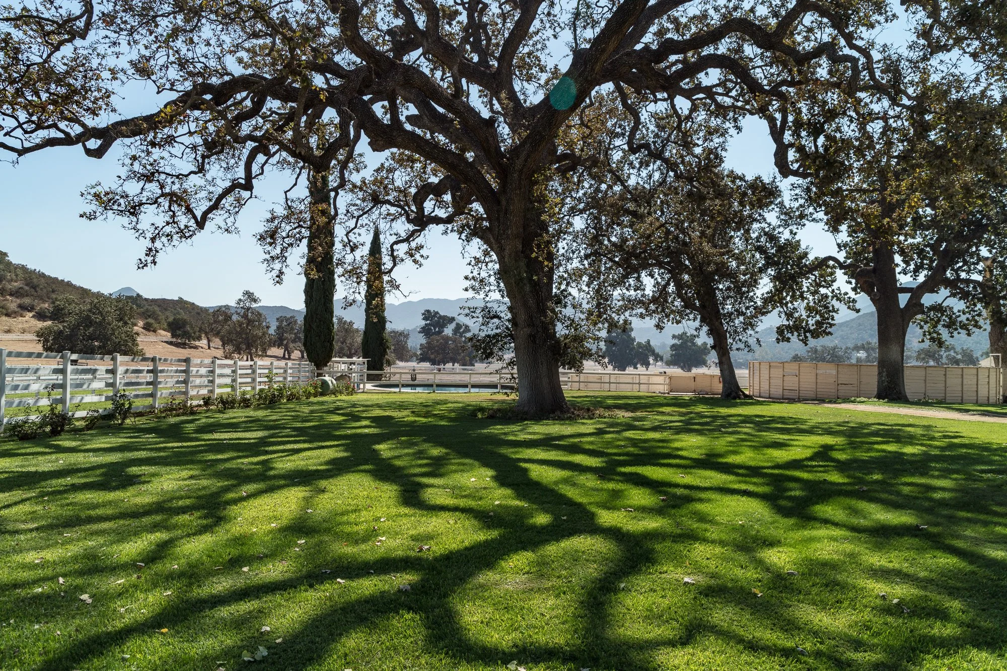 Ventura Farms - Arabian Center -17.jpg