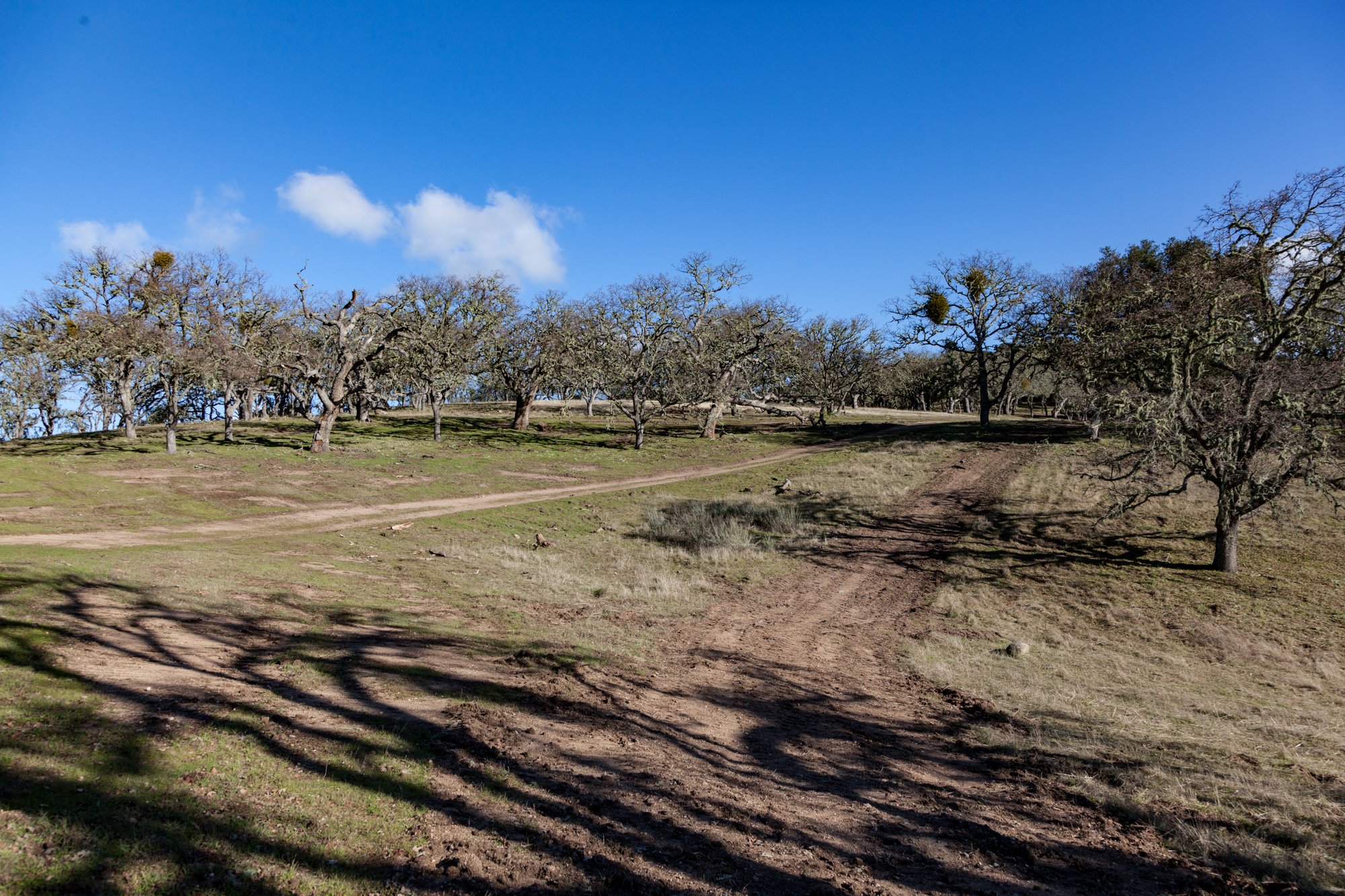 Rnch- Galante Ranch & Vineyards - Carmel Valley - 19.jpg