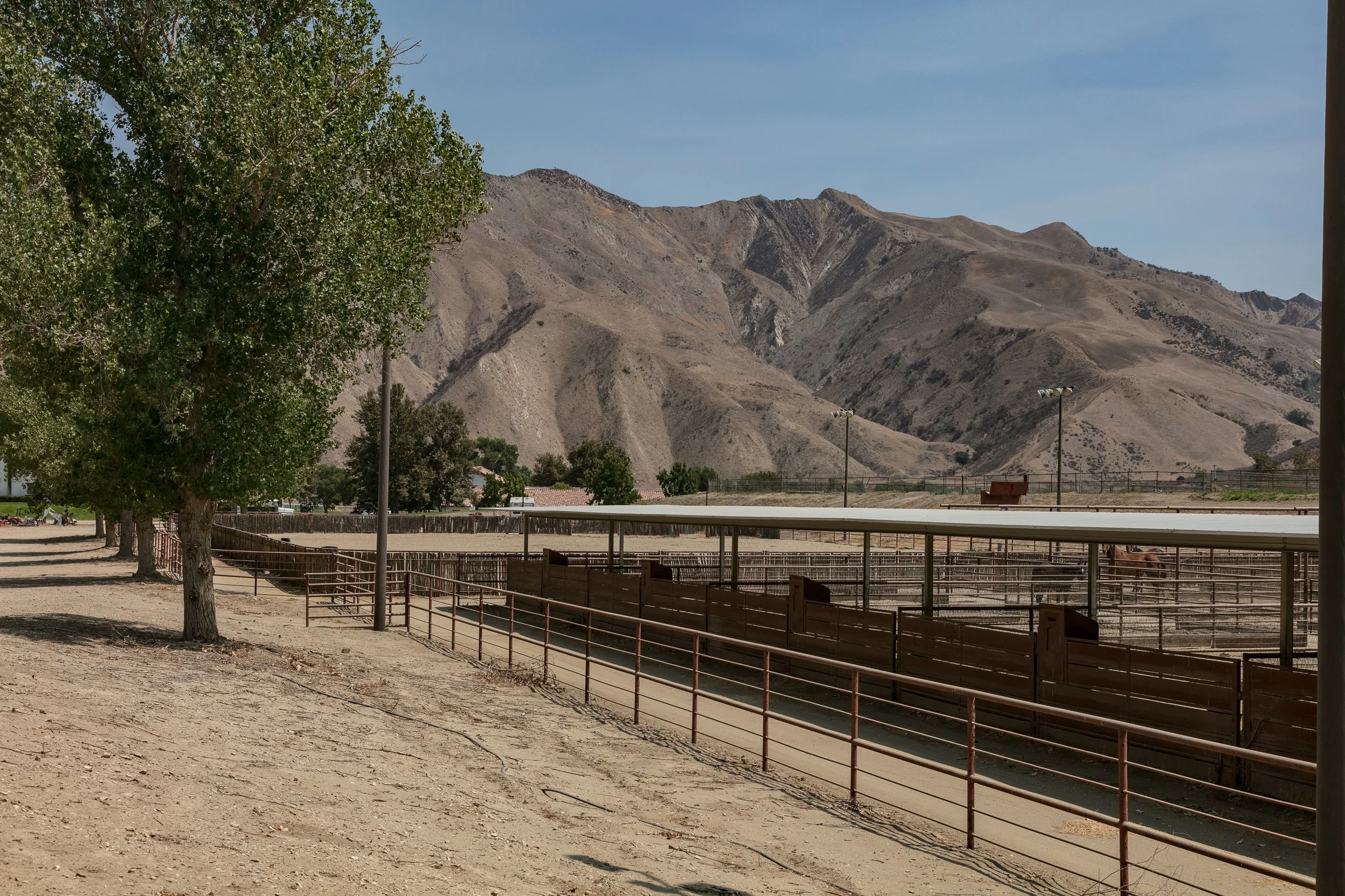 Rancho Temescal - Cattle Ranch - Piru -62.jpg