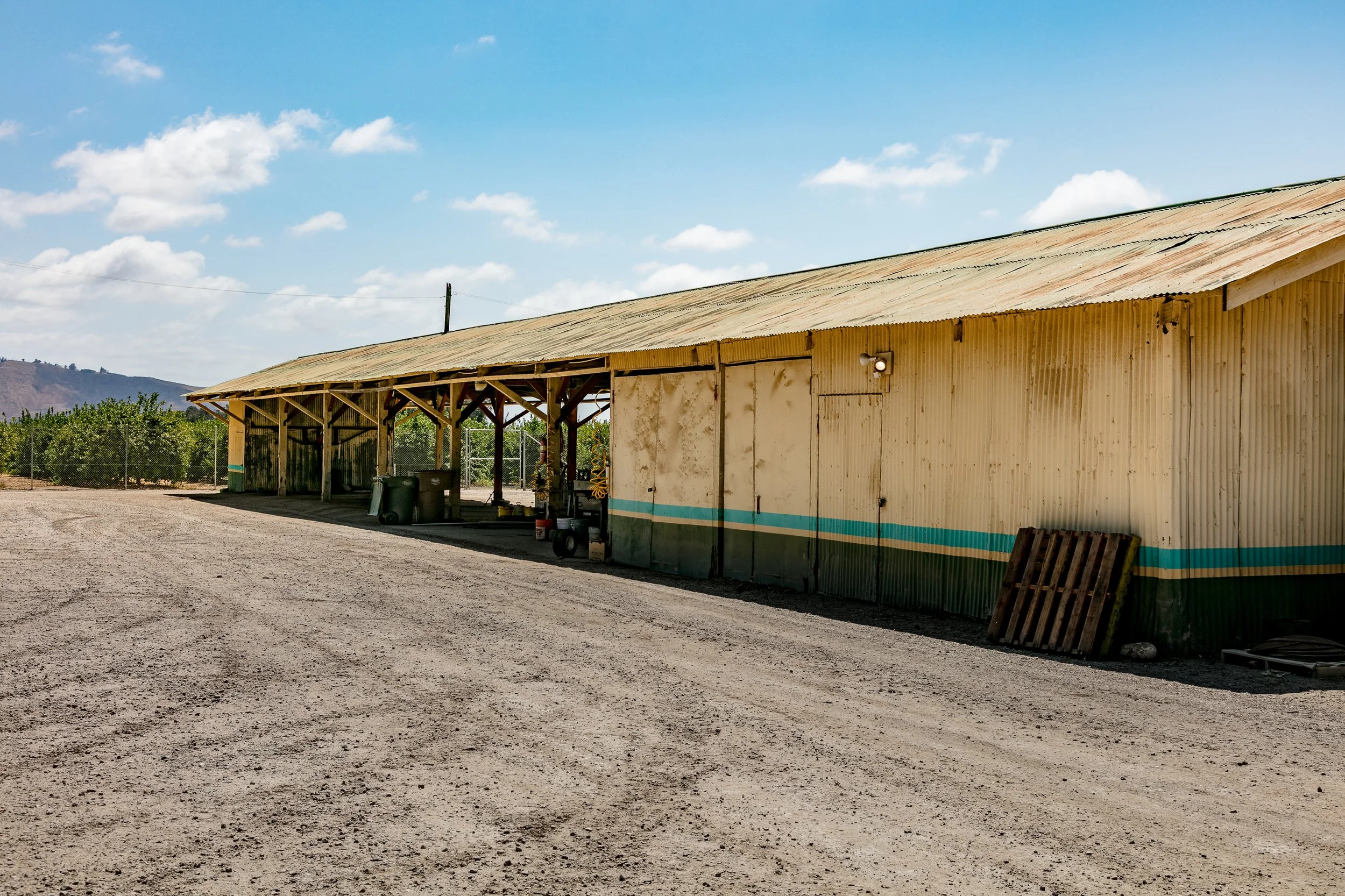 Limoneira Farms - Santa Paula -54.jpg