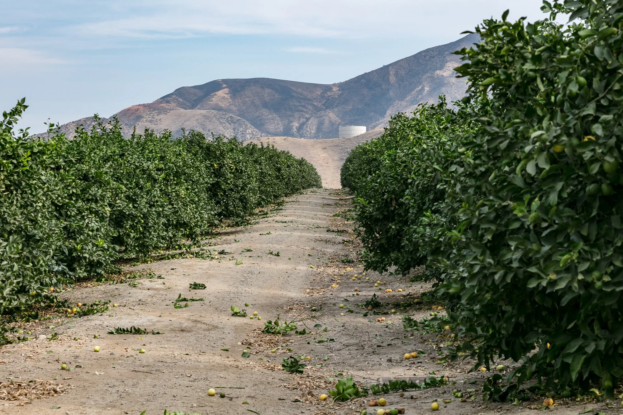 Rancho Temescal - Ranch Roads - Piru -11.jpg