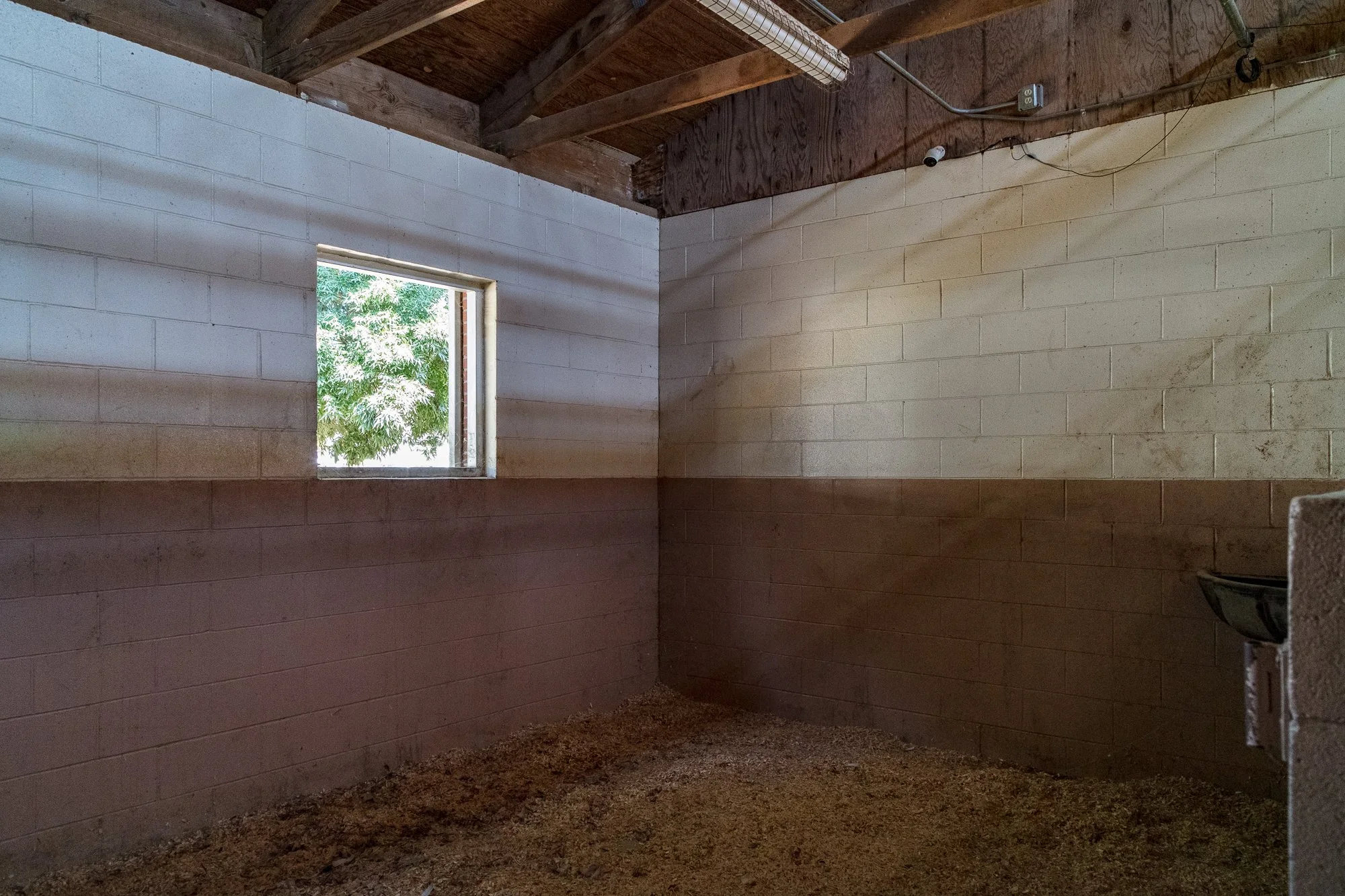 Ventura Farms - Arabian Center -8.jpg