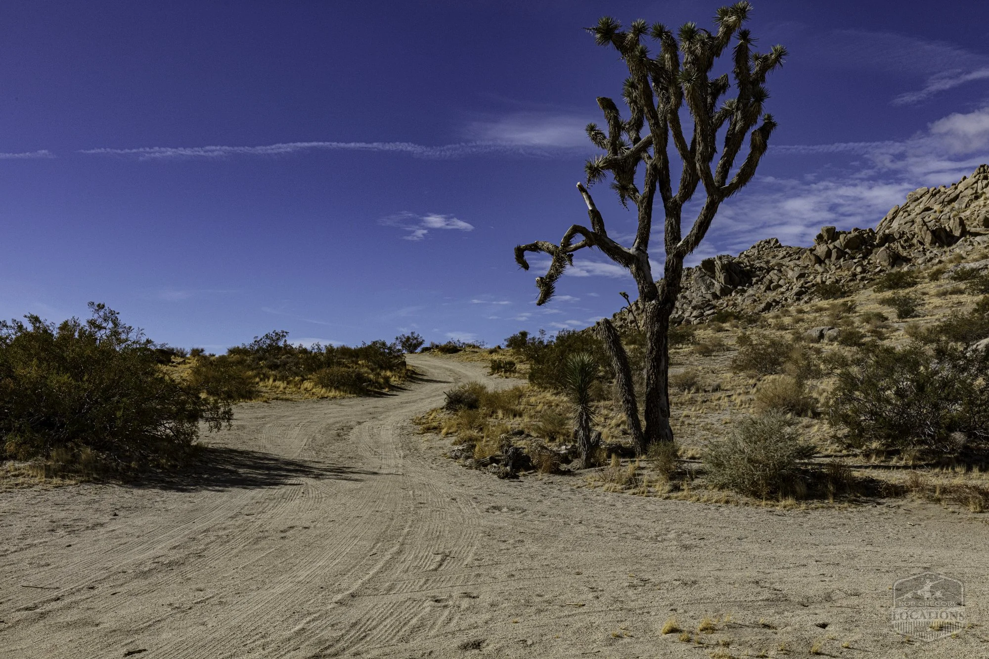 Rocky Buttes - Lancaster - 112424 -008.jpg