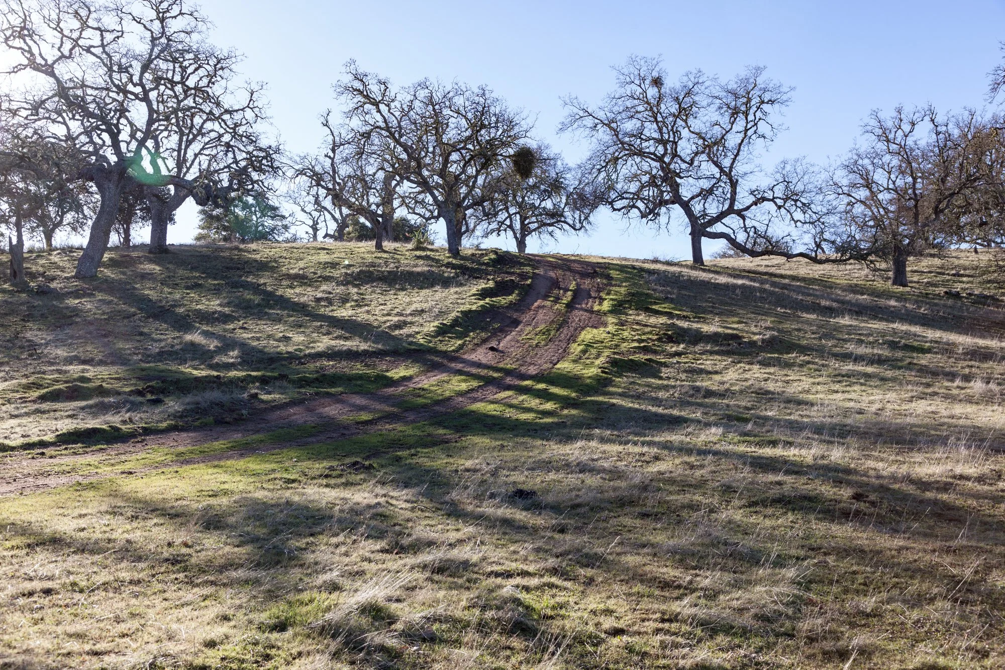 Rnch- Galante Ranch & Vineyards - Carmel Valley - 16.jpg