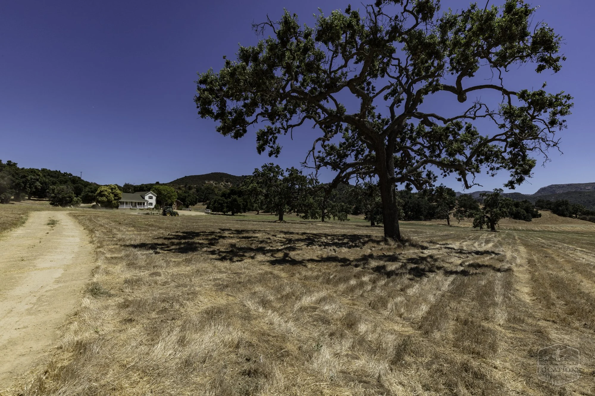 Thorton Ranch Pasture - Ventura Farms -6.jpg