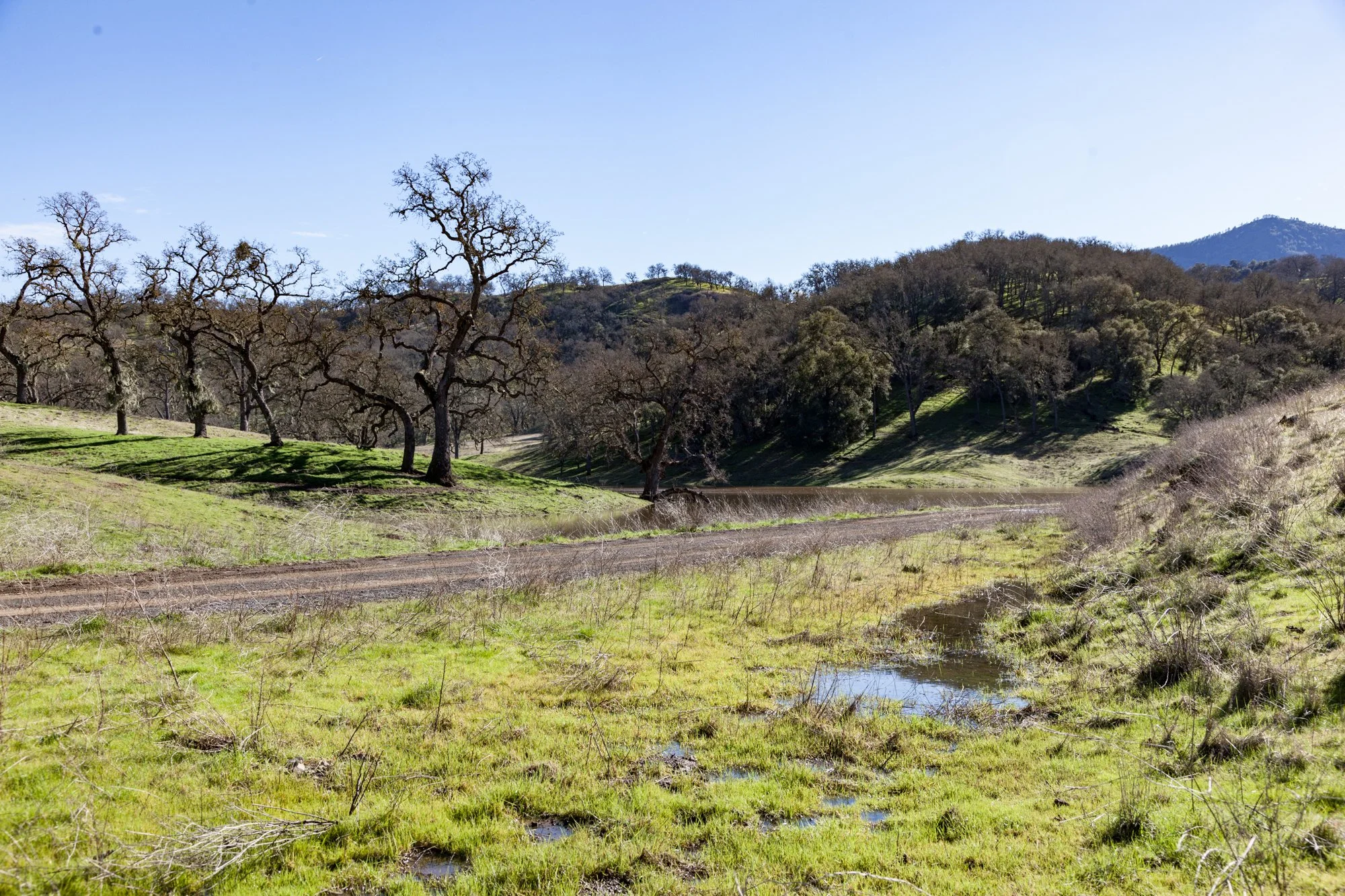 Rnch- Santa Margarita Ranch - 7.jpg