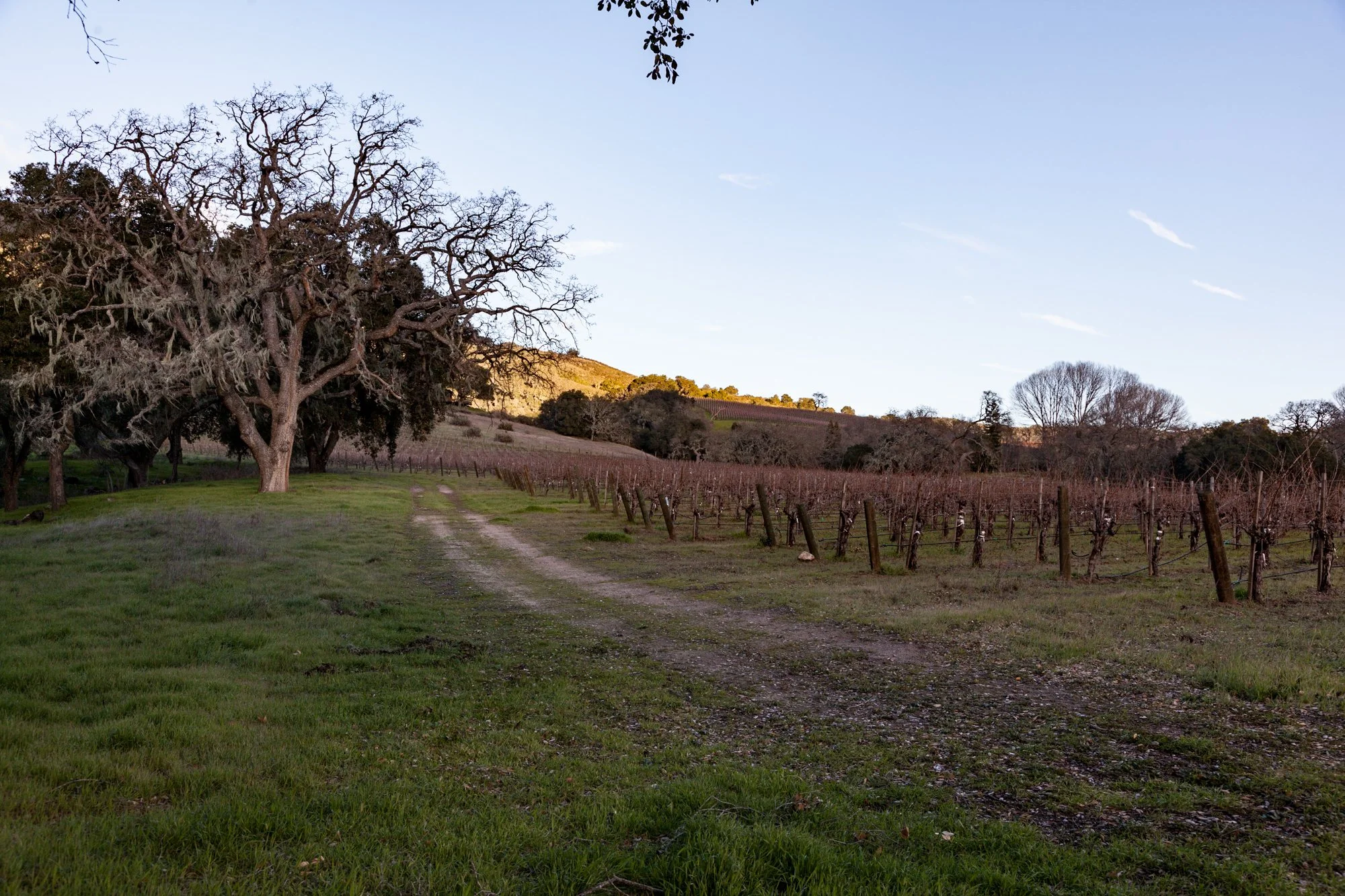 Rnch- Galante Ranch & Vineyards - Carmel Valley - 68.jpg