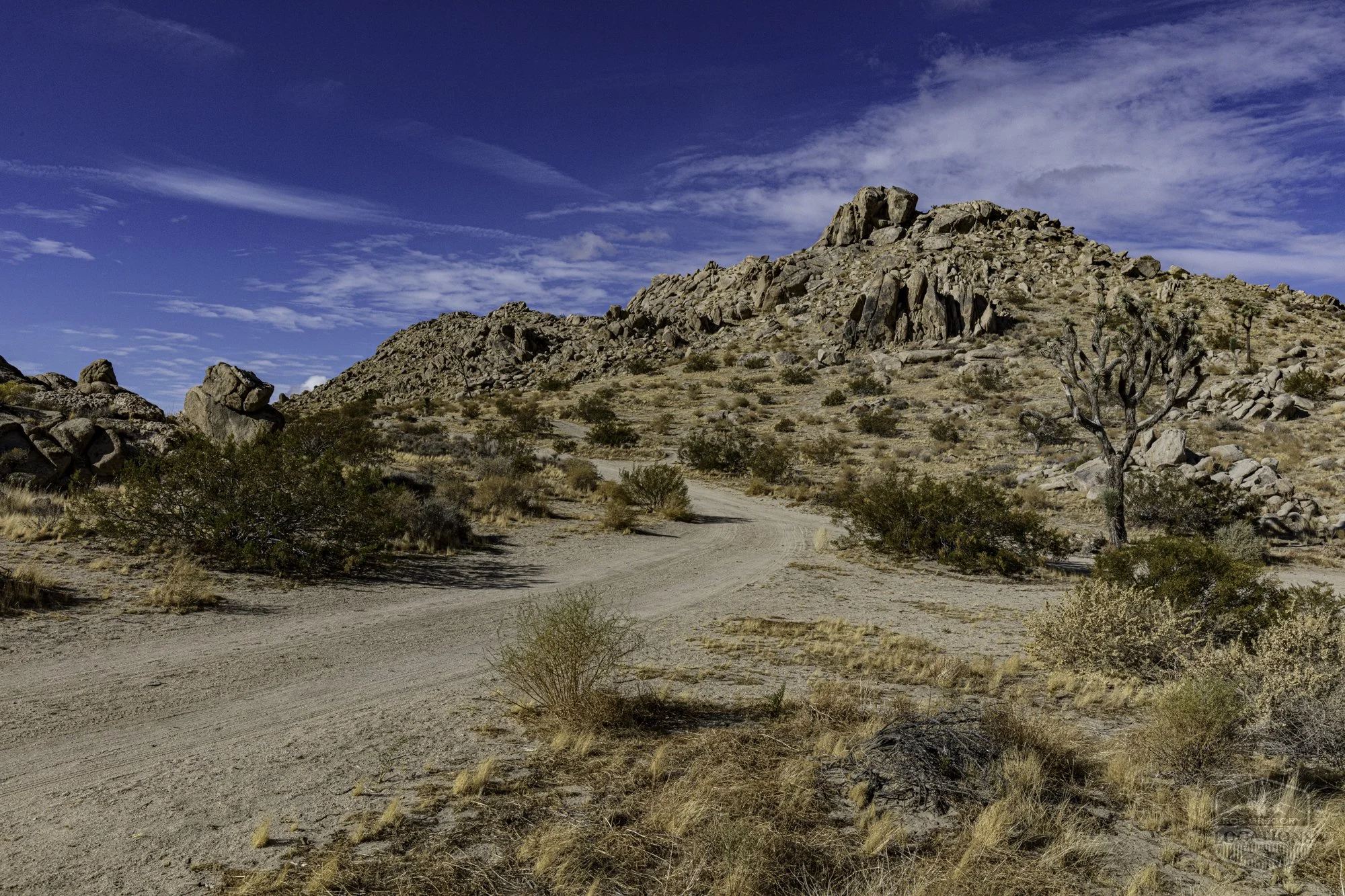 Rocky Buttes - Lancaster - 112424 -005.jpg