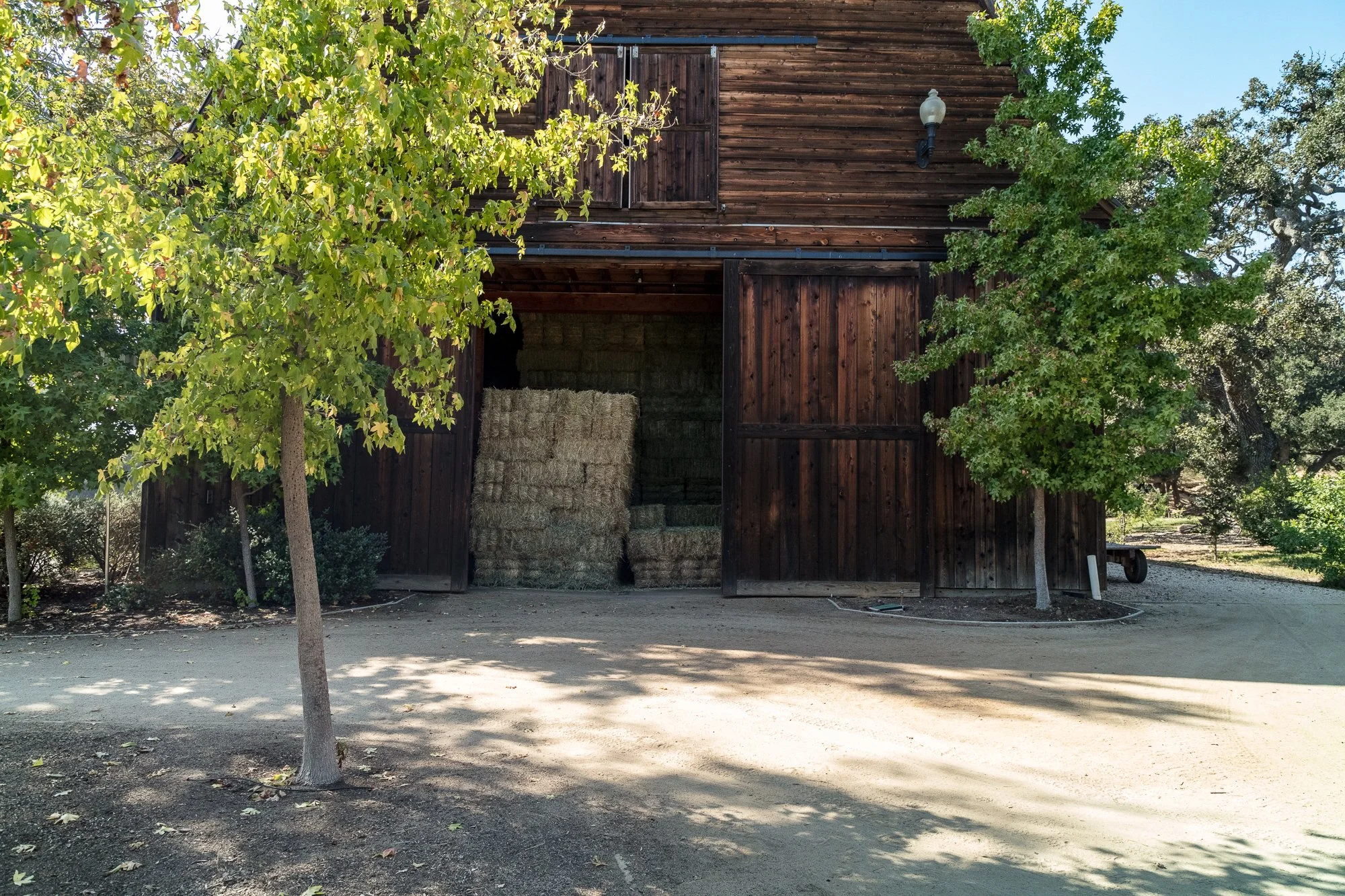 El Campeon - Windy Hill Ranch - Thousand Oaks - 101North -19.jpg