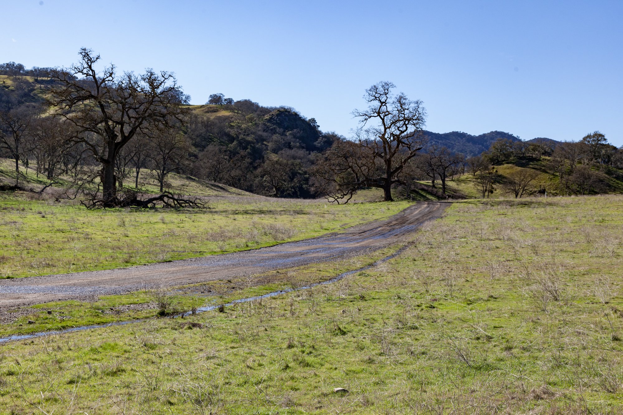 Rnch- Santa Margarita Ranch - 3.jpg