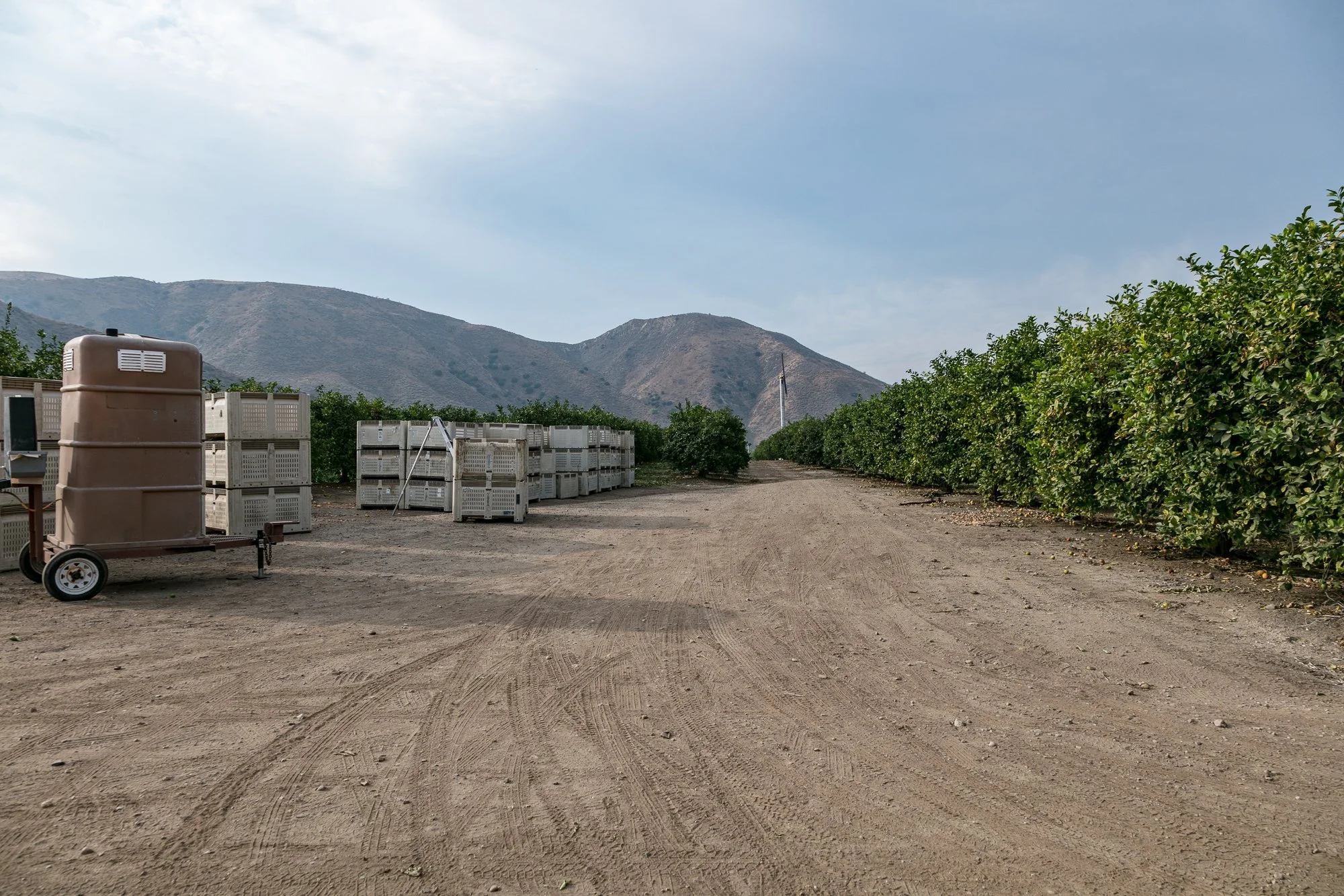 Rancho Temescal - Ranch Roads - Piru -5.jpg