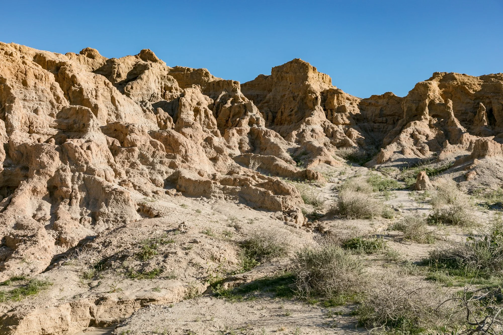 Ntr- Anza Borrego - Badlands - 0219 -37.jpg