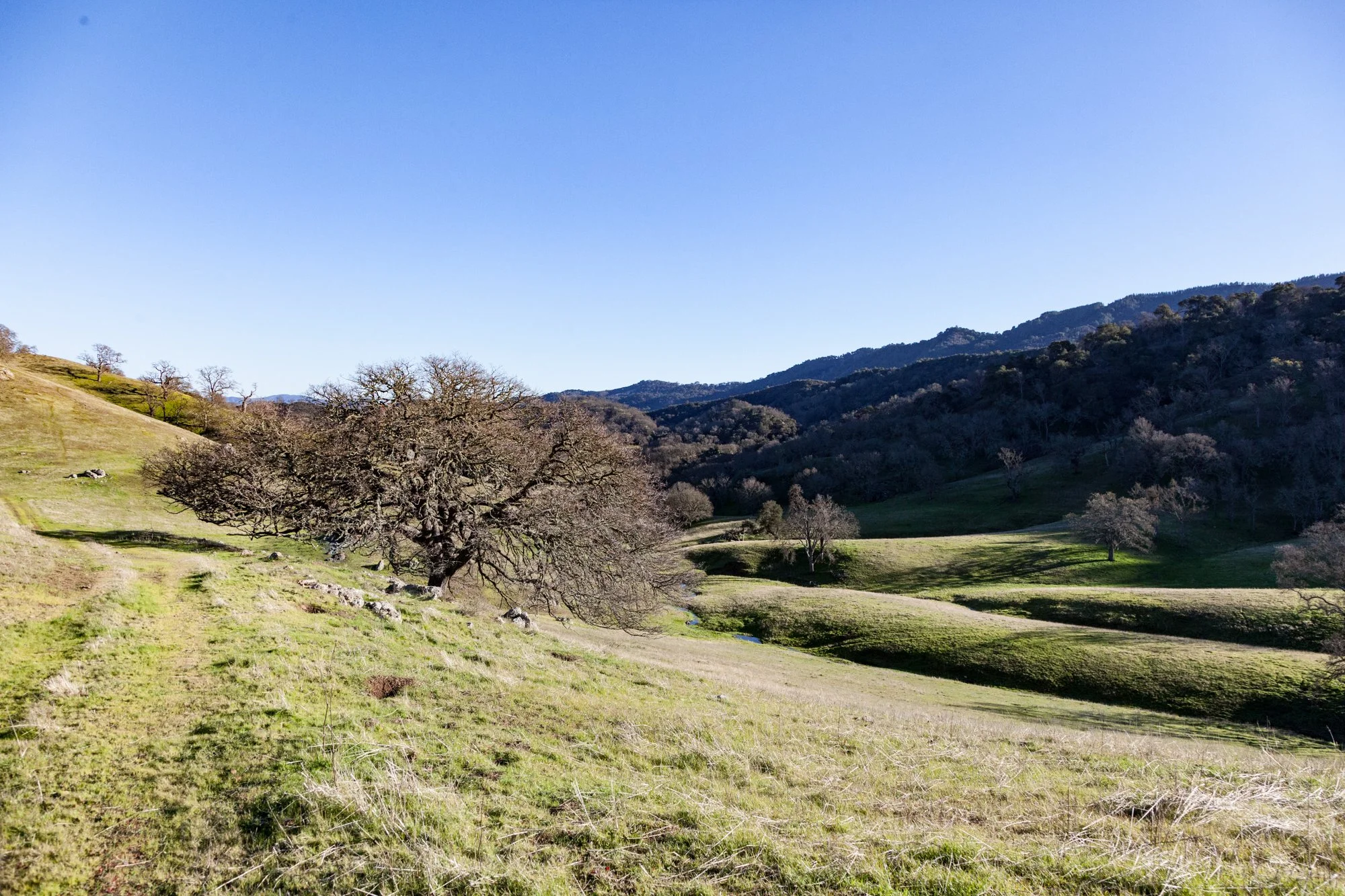 Rnch- Santa Margarita Ranch - 94.jpg