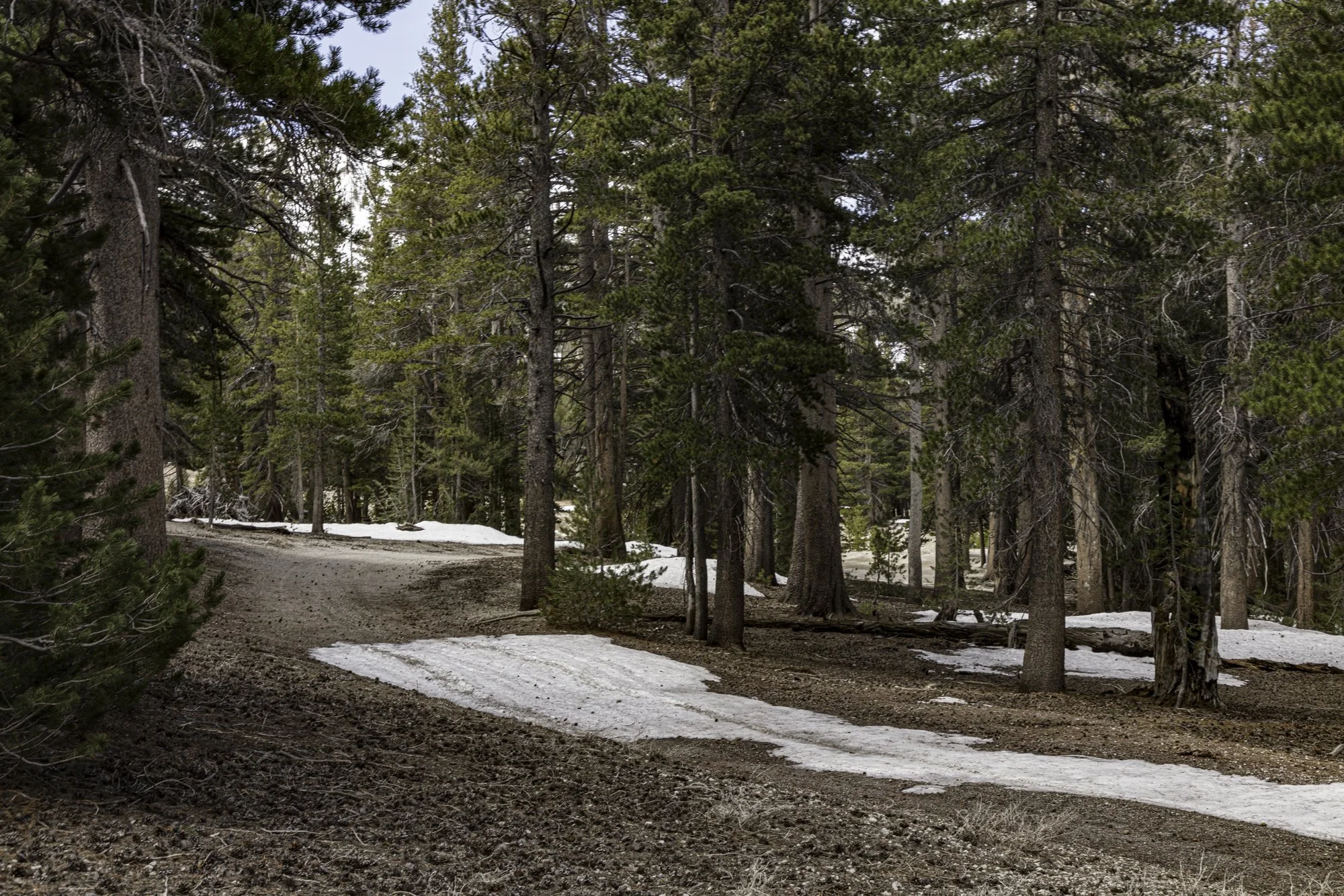 June Mtn - Narrow Maint Rd - June Lake- -13.jpg