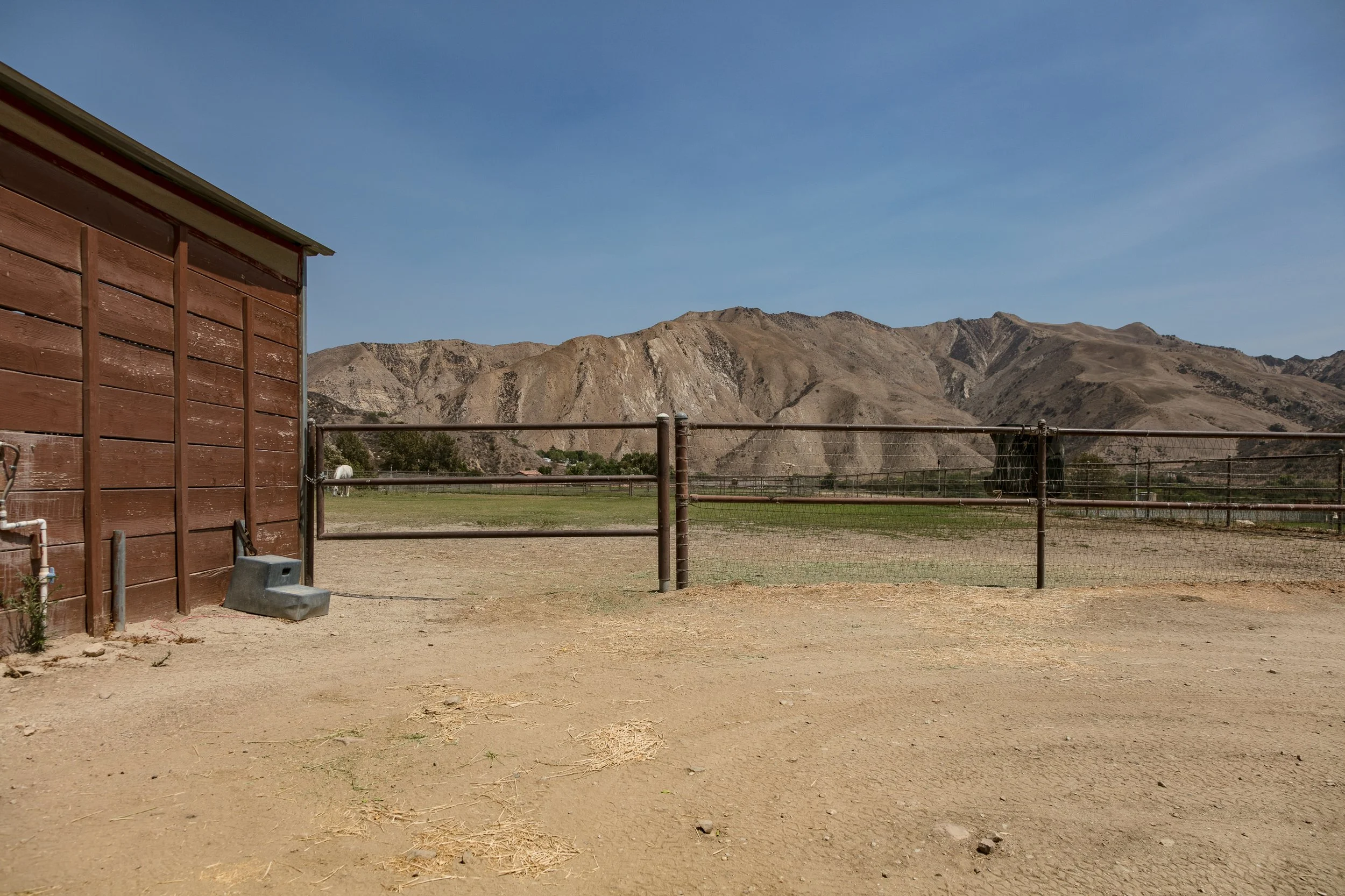 Rancho Temescal - Cattle Ranch - Piru -78.jpg